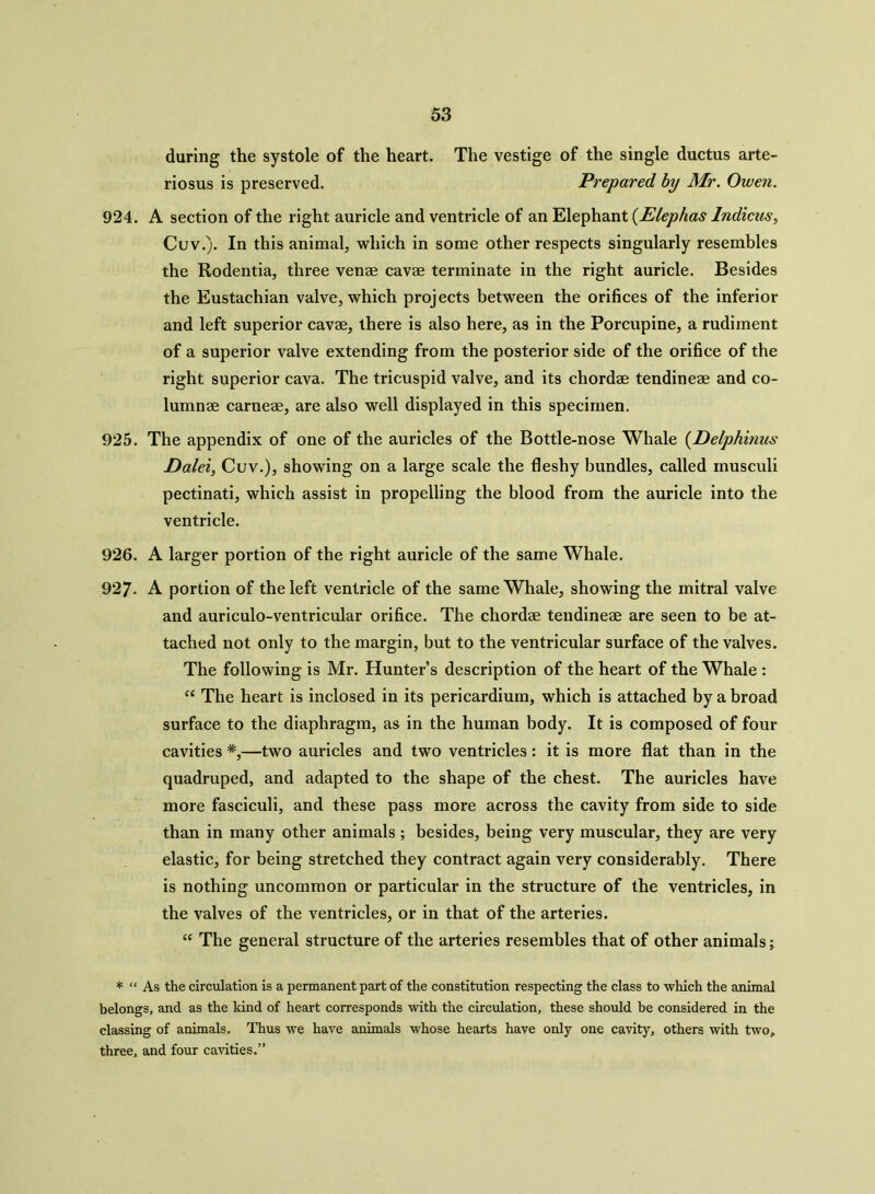 during the systole of the heart. The vestige of the single ductus arte- riosus is preserved. Prepared by Mr. Owen. 924. A section of the right auricle and ventricle of an Elephant (.Elephas Indicus, Cuv.). In this animal, which in some other respects singularly resembles the Rodentia, three venae cavae terminate in the right auricle. Besides the Eustachian valve, which projects between the orifices of the inferior and left superior cavae, there is also here, as in the Porcupine, a rudiment of a superior valve extending from the posterior side of the orifice of the right superior cava. The tricuspid valve, and its chordae tendineae and co- lumnae carneae, are also well displayed in this specimen. 925. The appendix of one of the auricles of the Bottle-nose Whale (Delphinus Dalei, Cuv.), showing on a large scale the fleshy bundles, called musculi pectinati, which assist in propelling the blood from the auricle into the ventricle. 926. A larger portion of the right auricle of the same Whale. 927- A portion of the left ventricle of the same Whale, showing the mitral valve and auriculo-ventricular orifice. The chordae tendineae are seen to be at- tached not only to the margin, but to the ventricular surface of the valves. The following is Mr. Hunter’s description of the heart of the Whale : “ The heart is inclosed in its pericardium, which is attached by a broad surface to the diaphragm, as in the human body. It is composed of four cavities *,—two auricles and two ventricles : it is more flat than in the quadruped, and adapted to the shape of the chest. The auricles have more fasciculi, and these pass more across the cavity from side to side than in many other animals ; besides, being very muscular, they are very elastic, for being stretched they contract again very considerably. There is nothing uncommon or particular in the structure of the ventricles, in the valves of the ventricles, or in that of the arteries. “ The general structure of the arteries resembles that of other animals; * “ As the circulation is a permanent part of the constitution respecting the class to which the animal belongs, and as the kind of heart corresponds with the circulation, these should be considered in the classing of animals. Thus we have animals whose hearts have only one cavity, others with two, three, and four cavities.”