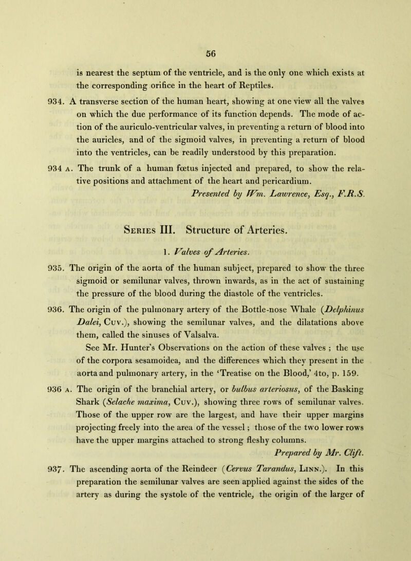 is nearest the septum of the ventricle, and is the only one which exists at the corresponding orifice in the heart of Reptiles. 934. A transverse section of the human heart, showing at one view all the valves on which the due performance of its function depends. The mode of ac- tion of the auriculo-ventricular valves, in preventing a return of blood into the auricles, and of the sigmoid valves, in preventing a return of blood into the ventricles, can be readily understood by this preparation. 934 a. The trunk of a human foetus injected and prepared, to show the rela- tive positions and attachment of the heart and pericardium. Presented by IVm. Lawrence, Esq., F.R.S. Series III. Structure of Arteries. 1. Valves of Arteries. 935. The origin of the aorta of the human subject, prepared to show the three sigmoid or semilunar valves, thrown inwards, as in the act of sustaining the pressure of the blood during the diastole of the ventricles. 936. The origin of the pulmonary artery of the Bottle-nose Whale (Delphinus Dalei, Cuv.), showing the semilunar valves, and the dilatations above them, called the sinuses of Valsalva. See Mr. Hunter’s Observations on the action of these valves ; the use of the corpora sesamoidea, and the differences which they present in the aorta and pulmonary artery, in the ‘Treatise on the Blood,’ 4to, p. 159. 936 a. The origin of the branchial artery, or bulbus arteriosus, of the Basking Shark (Selache maxima, Cuv.), showing three rows of semilunar valves. Those of the upper row are the largest, and have their upper margins projecting freely into the area of the vessel; those of the two lower rows have the upper margins attached to strong fleshy columns. Prepared by Mr. Clift. 937. The ascending aorta of the Reindeer (Cervus Tarandus, Linn.). In this preparation the semilunar valves are seen applied against the sides of the artery as during the systole of the ventricle, the origin of the larger of