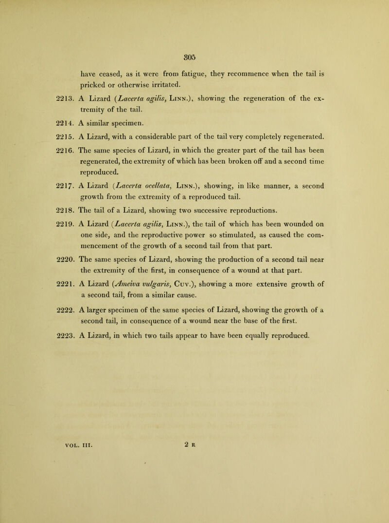 805 have ceased, as it were from fatigue, they recommence when the tail is pricked or otherwise irritated. 2213. A Lizard {Lacerta agilis, Linn.), showing the regeneration of the ex- tremity of the tail. 2214. A similar specimen. 2215. A Lizard, with a considerable part of the tail very completely regenerated. 2216. The same species of Lizard, in which the greater part of the tail has been regenerated, the extremity of which has been broken olF and a second time reproduced. 2217* A Lizard {Lacerta ocellata, Linn.), showing, in like manner, a second growth from the extremity of a reproduced tail. 2218. The tail of a Lizard, showing two successive reproductions. 2219. A Lizard {^Lacerta agilis, Linn.), the tail of which has been wounded on one side, and the reproductive power so stimulated, as caused the com- mencement of the growth of a second tail from that part. 2220. The same species of Lizard, showing the production of a second tail near the extremity of the first, in consequence of a wound at that part. 2221. A Lizard {Ameiva vulgaris, Cuv.), showing a more extensive growth of a second tail, from a similar cause. 2222. A larger specimen of the same species of Lizard, showing the growth of a second tail, in consequence of a wound near the base of the first. 2223. A Lizard, in which two tails appear to have been equally reproduced. 2 R VOL. III.
