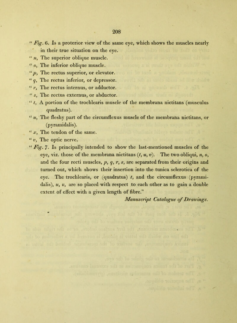 “ Fig. 6. Is a proterior view of the same eye, which shows the muscles nearly in their true situation on the eye. “ n, The superior oblique muscle. “ o, The inferior oblique muscle. “ p, The rectus superior, or elevator. “ q, The rectus inferior, or depressor. “ r, The rectus internus, or adductor. “ s, The rectus externus, or abductor. “ t, A portion of the trochlearis muscle of the membrana nictitans (musculus quadratus). “ u, The fleshy part of the circumflexus muscle of the membrana nictitans, or (pyramidalis). “ x, The tendon of the same. “ v, The optic nerve. “ Fig. 7< Is principally intended to show the last-mentioned muscles of the eye, viz. those of the membrana nictitans (t, u, v). The two obliqui, w, 0, and the four recti muscles, /?, q, r, s, are separated from their origins and turned out, which shows their insertion into the tunica sclerotica of the eye. The trochlearis, or (quadratus) t, and the circumflexus (pyrami- dalis), u, v, are so placed with respect to each other as to gain a double extent of effect with a given length of fibre.”