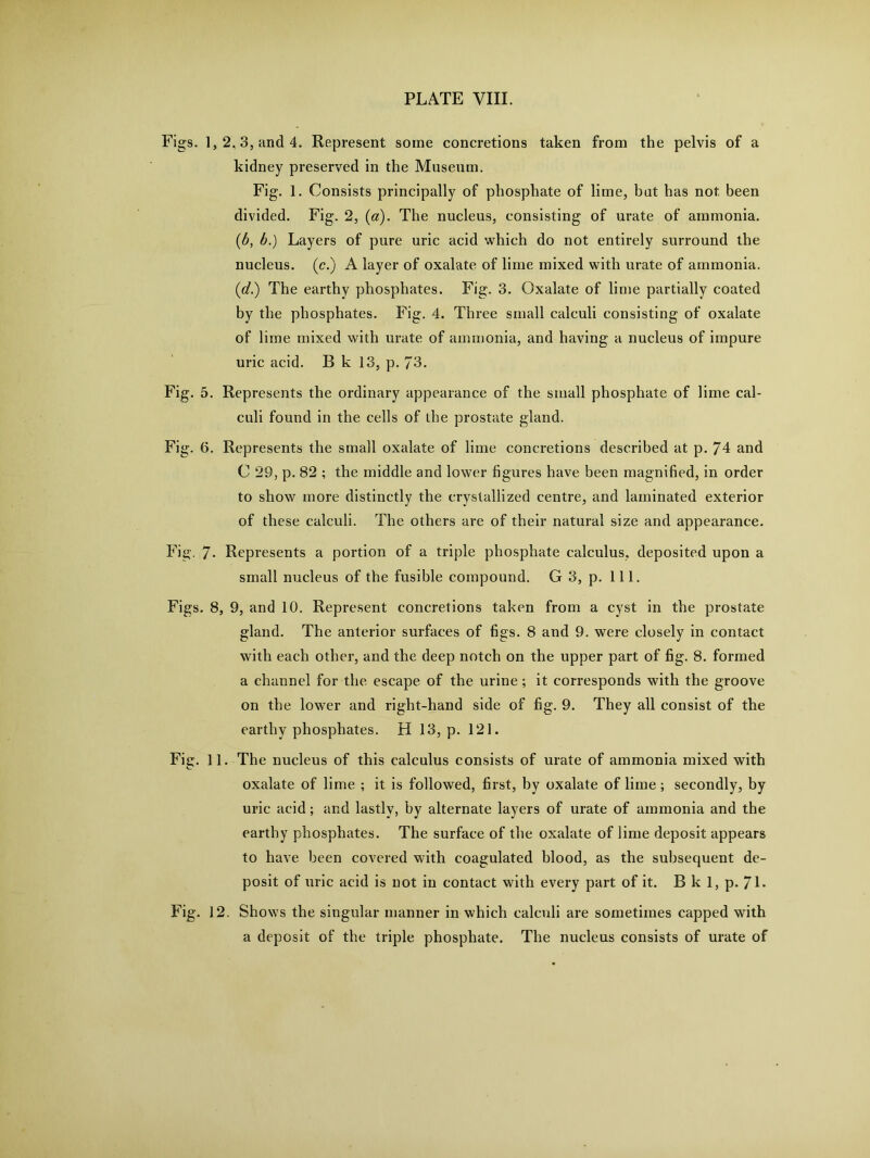 Figs. 1,2,3, and 4. Represent some concretions taken from the pelvis of a kidney preserved in the Museum. Fig. 1. Consists principally of phosphate of lime, but has not been divided. Fig. 2, (a). The nucleus, consisting of urate of ammonia. (b, b.) Layers of pure uric acid which do not entirely surround the nucleus, (c.) A layer of oxalate of lime mixed with urate of ammonia. (■d.) The earthy phosphates. Fig. 3. Oxalate of lime partially coated by the phosphates. Fig. 4. Three small calculi consisting of oxalate of lime mixed with urate of ammonia, and having a nucleus of impure uric acid. B k 13, p. 73. Fig. 5. Represents the ordinary appearance of the small phosphate of lime cal- culi found in the cells of the prostate gland. Fig. 6. Represents the small oxalate of lime concretions described at p. 74 and C 29, p. 82 ; the middle and lower figures have been magnified, in order to show more distinctly the crystallized centre, and laminated exterior of these calculi. The others are of their natural size and appearance. Fig. 7- Represents a portion of a triple phosphate calculus, deposited upon a small nucleus of the fusible compound. G 3, p. 111. Figs. 8, 9, and 10. Represent concretions taken from a cyst in the prostate gland. The anterior surfaces of figs. 8 and 9. were closely in contact with each other, and the deep notch on the upper part of fig. 8. formed a channel for the escape of the urine; it corresponds with the groove on the lower and right-hand side of fig. 9. They all consist of the earthy phosphates. H 13, p. 121. Fig. 11. The nucleus of this calculus consists of urate of ammonia mixed with oxalate of lime ; it is followed, first, by oxalate of lime; secondly, by uric acid; and lastly, by alternate layers of urate of ammonia and the earthy phosphates. The surface of the oxalate of lime deposit appears to have been covered with coagulated blood, as the subsequent de- posit of uric acid is not in contact with every part of it. B k 1, p. 71- Fig. 12. Shows the singular manner in which calculi are sometimes capped with a deposit of the triple phosphate. The nucleus consists of urate of