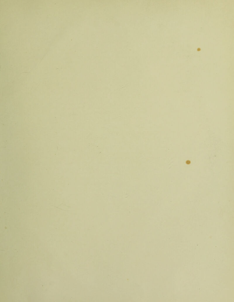 li . - • , TT ' t . l 1 r. ■î' \ I ) I i - * % ■r f t - ■»*! ^ î t^ » 1 ■f »■ ■■ 1 'fy;