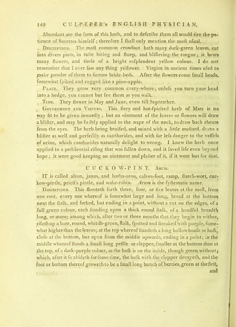 3 40 C U L P E P;E R’« ENGLISH PHYSICIAN, Abundant, are the forts of this herb, and to defcribe them all would tire the pa- tience of Socrates hirafelf; therefore I fliall only mention the moll: ufual. . Description. The mpfl: common crowfoot hath many dark-green leaves, cut into divers parts, in tafte biting and fharp, and bliftering’ the tongue; it bears many flowers, and thofe of a bright refplendent yellow colour. I do not remember that I ever faw any thing yellower. Virgins in ancient times ufed to jnake powder of them to furrow bride-beds. After the flowers come fmaU heads, foraewhat fpiked and rugged like a pine-apple. Place. They grow very common every-where; uiilefs you turn your head into a hedge, you cannot but fee them as you walk. Time. They flower in May and June, even till September. . Government and Virtues. This fiery and hot-fpiritecl herb of Mars is no way fit to be given inwardly ; but an ointment of the leaves or flowers will draw a blifter, and may be fo fitly applied to the nape of the neck, to draw back rheum from the eyes. The herb being bruifed, and mixed with a little muflard, draws a blifler as well and perfeclly as cantharides, and with far lefs danger to the veflels of urine, which cantharides naturally delight to wrong. I knew the herb once applied to a peflilential rifing that was fallen down, and it faved life even beyond hope; it were good keeping an ointment and plafler of it, if it were but for that. C U C K O W-P I N T. Arum. IT is called alron, janus, and barba-aron, calves-foot, ramp, flarch-wort, cuc- kow-pintle, prieft’s pintle, and wake-robin. Arum is the fyftematic name. Description. This fhooteth forth three, four, or five leaves at the molt, from one root, every one whereof is fomewhat large and long, broad at the bottom next the ftalk, and forked, but ending in a point, without a cut on the edges, of a full green colour, each handing upon a thick round ftalk, of a handful breadth long, or more; among which, after two or three months that they begin to wither, rifethup a bare, round, whitifli-green, ftalk, fpotted and ftreaked with purple, fome- what higher than the leaves; at the top whereof Itandeth a long hollow houfe or hulk, clofe at the bottom, but open from the middle upwards, ending in a point; in the middle whereof ftands a finall long peftle or clapper, fmaller at the bottom than at the top, of a dark-pnrple colour, as the hulk is on the infide, though green without; which, after it fo abideth forfome time, the hulk with the clapper decayeth, and the footer bottom thereof groweth to be afmall long bunch of berries, green at thefirft, , • . . and