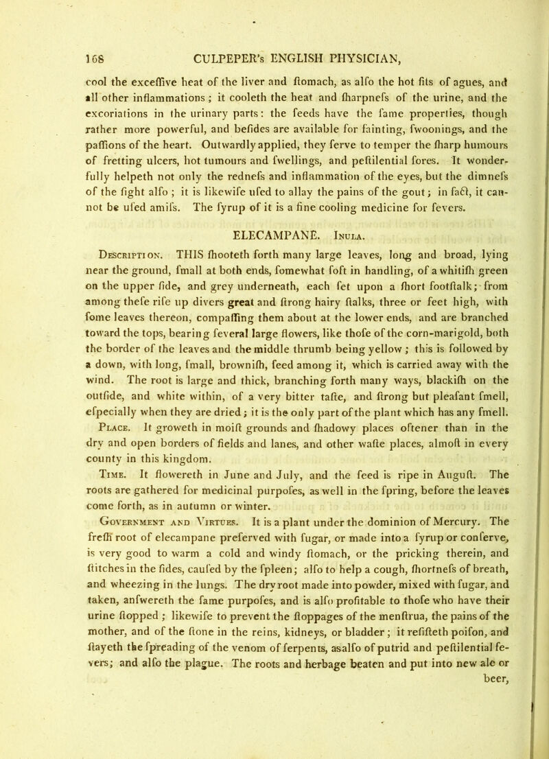 cool the excellive heat of the liver and flomach, as alfo the hot fits of agues, and all other inflammations ; it cooleth the heat and ftiarpnefs of the urine, and the excoriations in the urinary parts; the feeds have the fame properties, though rather more powerful, and befides are available for fainting, fwoonings, and the paffions of the heart. Outwardly applied, they ferve to temper the (harp humours of fretting ulcers, hot tumours and fwellings, and peftilential fores. It wonder- fully helpeth not only the rednefs and inflammation of the eyes, but the dimnefs of the fight alfo ; it is likewife ufed to allay the pains of the gout; in fa61, it can- not be ufed amifs. The fyrup of it is a fine cooling medicine for fevers. ELECAMPANE. Inula. Description. THIS fliooteth forth many large leaves, long and broad, lying near the ground, fmall at both ends, fomewhat foft in handling, of a whitifli green on the upper fide, and grey underneath, each fet upon a fliort footftalk; from among thefe rife up divers great and ftrong hairy ftalks, three or feet high, with fome leaves thereon, compafling them about at the lower ends, and are branched toward the tops, bearing feveral large flowers, like thofe of the corn-marigold, both the border of the leaves and the middle thrumb being yellow ; this is followed by a down, with long, fmall, brownifh, feed among it, which is carried away with the wind. The root is large and thick, branching forth many ways, blackifh on the outfide, and white within, of a very bitter tafle, and ftrong but pleafant fmell, efpecially w'hen they are dried; it is the only part of the plant which has any fmell. Place. It groweth in moift grounds and ftiadowy places oftener than in the dry and open borders of fields and lanes, and other wafte places, almoft in every county in this kingdom. Time. It flowereth in June and July, and the feed is ripe in Auguft. The roots are gathered for medicinal purpofes, as well in the fpring, before the leaves come forth, as in autumn or winter. Government and Virtues. It is a plant under the dominion of Mercury. The frefti root of elecampane preferved with fugar, or made into a fyrup or con ferve, is very good to warm a cold and windy ftomach, or the pricking therein, and flitches in the Tides, caufed by the fpleen; alfo to help a cough, ftiortnefs of breath, and wheezing in the lungs. The dry root made into powder, mixed with fugar, and taken, anfwereth the fame purpofes, and is alfo profitable to thofe who have their urine flopped ; likewife to prevent the floppages of the menftrua, the pains of the mother, and of the ftone in the reins, kidneys, or bladder; it refifteth poifon, and flayeth the fpreading of the venom of ferpents, asalfo of putrid and peftilential fe- vers; and alfo the plague. The roots and herbage beaten and put into new ale or beer,