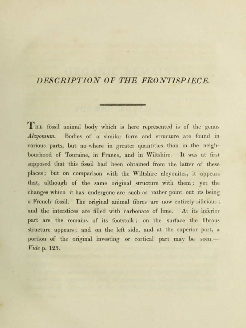 DESCRIPTION OF THE FRONTISPIECE. The fossil animal body which is here represented is of the genus Alcyonium. Bodies of a similar form and structure are found in various parts, but no where in greater quantities than in the neigh- bourhood of Touraine, in France, and in Wiltshire. It was at first supposed that this fossil had been obtained from the latter of these places; but on comparison with the Wiltshire alcyonites, it appears that, although of the same original structure with them; yet the changes which it has undergone are such as rather point out its being a French fossil. The original animal fibres are now entirely silicious ; and the interstices are filled with carbonate of lime. At its inferior part are the remains of its footstalk; on the surface the fibrous structure appears; and on the left side, and at the superior part, a portion of the original investing or cortical part may be seen.—- Vide p. 125.