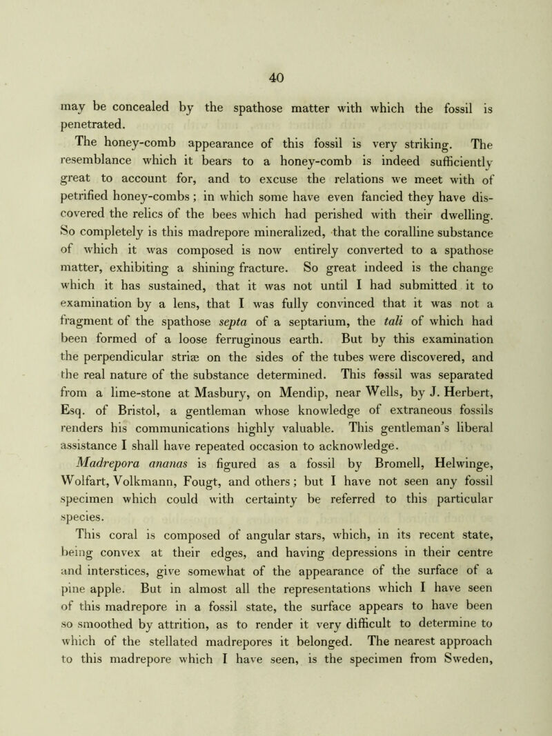 may be concealed by the spathose matter with which the fossil is penetrated. The honey-comb appearance of this fossil is very striking. The resemblance which it bears to a honey-comb is indeed sufficiently great to account for, and to excuse the relations we meet with of petrified honey-combs; in which some have even fancied they have dis- covered the relics of the bees which had perished with their dwelling. So completely is this madrepore mineralized, that the coralline substance of which it was composed is now entirely converted to a spathose matter, exhibiting a shining fracture. So great indeed is the change which it has sustained, that it was not until I had submitted it to examination by a lens, that I was fully convinced that it was not a fragment of the spathose septa of a septarium, the tali of which had been formed of a loose ferruginous earth. But by this examination the perpendicular striae on the sides of the tubes were discovered, and the real nature of the substance determined. This fossil was separated from a lime-stone at Masbury, on Mendip, near Wells, by J. Herbert, Esq. of Bristol, a gentleman whose knowledge of extraneous fossils renders his communications highly valuable. This gentleman’s liberal assistance I shall have repeated occasion to acknowledge. Madrepora ananas is figured as a fossil by Bromell, Helwinge, Wolfart, Volkmann, Fougt, and others ; but I have not seen any fossil specimen which could with certainty be referred to this particular species. This coral is composed of angular stars, which, in its recent state, being convex at their edges, and having depressions in their centre and interstices, give somewhat of the appearance of the surface of a pine apple. But in almost all the representations which I have seen of this madrepore in a fossil state, the surface appears to have been so smoothed by attrition, as to render it very difficult to determine to which of the stellated madrepores it belonged. The nearest approach to this madrepore which I have seen, is the specimen from Sweden,