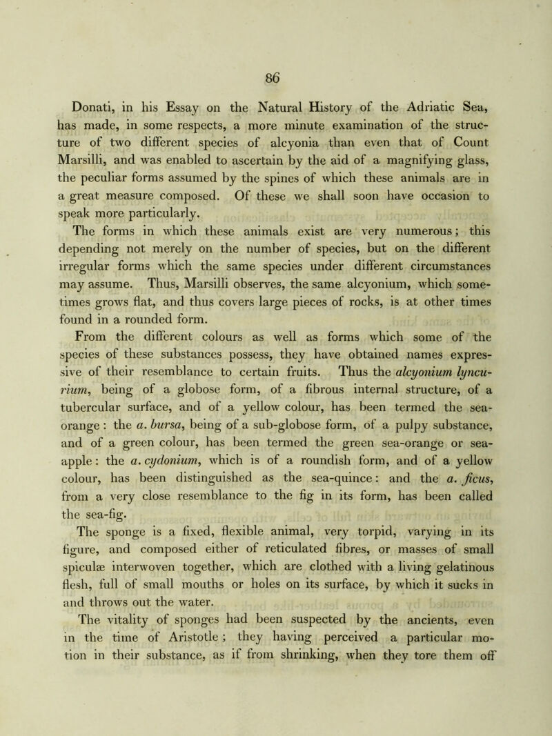 Donati, in his Essay on the Natural History of the Adriatic Sea, has made, in some respects, a more minute examination of the struc- ture of two different species of alcyonia than even that of Count Marsilli, and was enabled to ascertain by the aid of a magnifying glass, the peculiar forms assumed by the spines of which these animals are in a great measure composed. Of these we shall soon have occasion to speak more particularly. The forms in which these animals exist are very numerous; this depending not merely on the number of species, but on the different irregular forms which the same species under different circumstances may assume. Thus, Marsilli observes, the same alcyonium, which some- times grows flat, and thus covers large pieces of rocks, is at other times found in a rounded form. From the different colours as well as forms which some of the species of these substances possess, they have obtained names expres- sive of their resemblance to certain fruits. Thus the alcyonium lyncu- rium, being of a globose form, of a fibrous internal structure, of a tubercular surface, and of a yellow colour, has been termed the sea- orange : the a. bursa, being of a sub-globose form, of a pulpy substance, and of a green colour, has been termed the green sea-orange or sea- apple : the a. cydonium, which is of a roundish form, and of a yellow colour, has been distinguished as the sea-quince: and the a. ficus, from a very close resemblance to the fig in its form, has been called the sea-fig. The sponge is a fixed, flexible animal, very torpid, varying in its figure, and composed either of reticulated fibres, or masses of small spiculse interwoven together, which are clothed with a living gelatinous flesh, full of small mouths or holes on its surface, by which it sucks in and throws out the water. The vitality of sponges had been suspected by the ancients, even in the time of Aristotle; they having perceived a particular mo- tion in their substance, as if from shrinking, when they tore them off