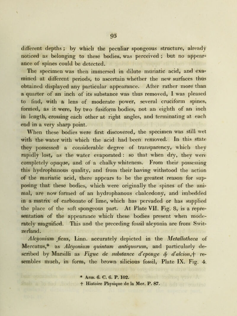 different depths ; by which the peculiar spongeous structure, already noticed as belonging to these bodies, was perceived ; but no appear- ance of spines could be detected. The specimen was then immersed in dilute muriatic acid, and exa- mined at different periods, to ascertain whether the new surfaces thus obtained displayed any particular appearance. After rather more than a quarter of an inch of its substance was thus removed, I was pleased to find, with a lens of moderate power, several cruciform spines, formed, as it were, by two fusiform bodies, not an eighth of an inch in length, crossing each other at right angles, and terminating at each end in a very sharp point. When these bodies were first discovered, the specimen was still wet with the water with which the acid had been removed. In this state they possessed a considerable degree of transparency, which they rapidly lost, as the water evaporated : so that when dry, they were completely opaque, and of a chalky whiteness. From their possessing this hydrophanous quality, and from their having withstood the action of the muriatic acid, there appears to be the greatest reason for sup- posing that these bodies, wdiich were originally the spines of the ani- mal, are now' formed of an hydrophanous chalcedony, and imbedded in a matrix of carbonate of lime, which has pervaded or has supplied the place of the soft spongeous part. At Plate VII. Fig. 8, is a repre- sentation of the appearance which these bodies present when mode- rately magnified. This and the preceding fossil alcyonia are from Swit- zerland. Alcyonium Jicus, Linn, accurately depicted in the Metallotheca of Mercatus,* as Alcyonium quintum antiquorum, and particularly de- scribed by Marsilli as Figue de substance d’eponge cl’alcion,-j- re- sembles much, in form, the brown silicious fossil, Plate IX. Fig. 4. * Arm. 6. C. 6. P. 102. + Histoire Physique de la Mer. P. 87.