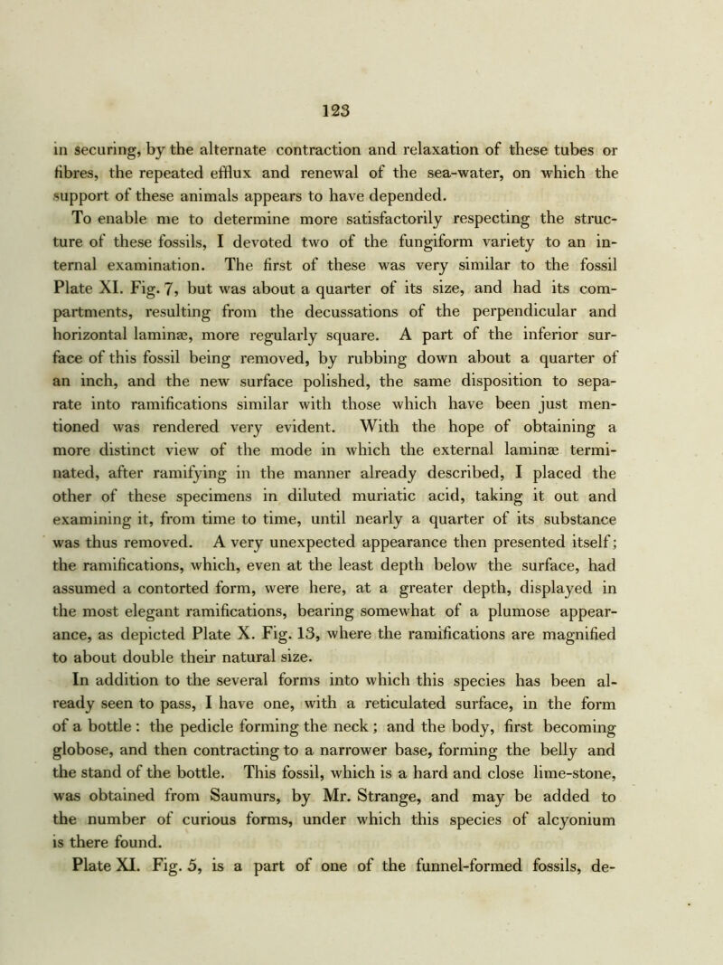 in securing, by the alternate contraction and relaxation of these tubes or fibres, the repeated efflux and renewal of the sea-water, on which the support of these animals appears to have depended. To enable me to determine more satisfactorily respecting the struc- ture of these fossils, I devoted two of the fungiform variety to an in- ternal examination. The first of these was very similar to the fossil Plate XI. Fig. 7, but was about a quarter of its size, and had its com- partments, resulting from the decussations of the perpendicular and horizontal laminee, more regularly square. A part of the inferior sur- face of this fossil being removed, by rubbing down about a quarter of an inch, and the new surface polished, the same disposition to sepa- rate into ramifications similar with those which have been just men- tioned was rendered very evident. With the hope of obtaining a more distinct view of the mode in which the external laminae termi- nated, after ramifying in the manner already described, I placed the other of these specimens in diluted muriatic acid, taking it out and examining it, from time to time, until nearly a quarter of its substance was thus removed. A very unexpected appearance then presented itself; the ramifications, which, even at the least depth below the surface, had assumed a contorted form, were here, at a greater depth, displayed in the most elegant ramifications, bearing somewhat of a plumose appear- ance, as depicted Plate X. Fig. 13, where the ramifications are magnified to about double their natural size. In addition to the several forms into which this species has been al- ready seen to pass, I have one, with a reticulated surface, in the form of a bottle : the pedicle forming the neck ; and the body, first becoming- globose, and then contracting to a narrower base, forming the belly and the stand of the bottle. This fossil, which is a hard and close lime-stone, was obtained from Saumurs, by Mr. Strange, and may be added to the number of curious forms, under which this species of alcyonium is there found. Plate XI. Fig. 5, is a part of one of the funnel-formed fossils, de-