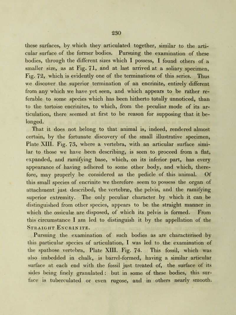 these surfaces, by which they articulated together, similar to the arti- cular surface of the former bodies. Pursuing the examination of these bodies, through the different sizes which I possess, I found others of a smaller size, as at Fig. 71, and at last arrived at a soliary specimen, Fig. 72, which is evidently one of the terminations of this series. Thus we discover the superior termination of an encrinite, entirely different from any which we have yet seen, and which appears to be rather re- ferable to some species which has been hitherto totally unnoticed, than to the tortoise encrinites, to which, from the peculiar mode of its ar- ticulation, there seemed at first to be reason for supposing that it be- longed. That it does not belong to that animal is, indeed, rendered almost certain, by the fortunate discovery of the small illustrative specimen, Plate XIII. Fig. 73, where a vertebra, with an articular surface simi- lar to those we have been describing, is seen to proceed from a flat, expanded, and ramifying base, which, on its inferior part, has every appearance of having adhered to some other body, and which, there- fore, may properly be considered as the pedicle of this animal. Of this small species of encrinite we therefore seem to possess the organ of attachment just described, the vertebrae, the pelvis, and the ramifying superior extremity. The only peculiar character by which it can be distinguished from other species, appears to be the straight manner in which the ossiculae are disposed, of which its pelvis is formed. From this circumstance I am led to distinguish it by the appellation of the Straight Encrinite. Pursuing the examination of such bodies as are characterised by this particular species of articulation, I was led to the examination of the spathose vertebra, Plate XIII. Fig. 74. This fossil, which was also imbedded in chalk, is barrel-formed, having a similar articular surface at each end with the fossil just treated of, the surface of its sides being finely granulated : but in some of these bodies, this sur- face is tuberculated or even rugose, and in others nearly smooth.