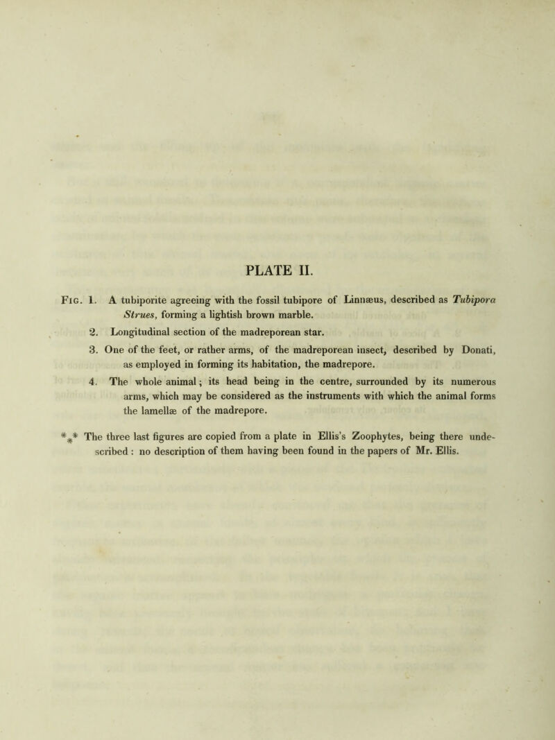 Fig. 1. A tubiporite agreeing with the fossil tubipore of Linnaeus, described as Tubipora Strues, forming a lightish brown marble. 2. Longitudinal section of the madreporean star. 3. One of the feet, or rather arms, of the madreporean insect, described by Donati, as employed in forming its habitation, the madrepore. 4. The whole animal; its head being in the centre, surrounded by its numerous arms, which may be considered as the instruments with which the animal forms the lamellae of the madrepore. The three last figures are copied from a plate in Ellis’s Zoophytes, being there unde- scribed : no description of them having been found in the papers of Mr. Ellis.