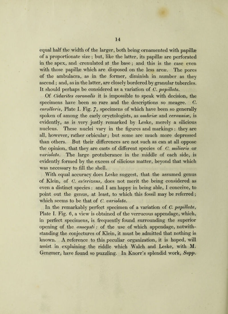 equal half the width of the larger, both being ornamented with papillae of a proportionate size; but, like the latter, its papillae are perforated in the apex, and crenulated at the base; and this is the case even with those papillae which are disposed on the less areae. The pores of the ambulacra, as in the former, diminish in number as they ascend; and, as in the latter, are closely bordered by granular tubercles. It should perhaps be considered as a variation of C. papillata. Of Cidarites coronalis it is impossible to speak with decision, the specimens have been so rare and the descriptions so meagre. C. corollaris, Plate I. Fig. /, specimens of which have been so generally spoken of among the early oryotologists, as ombrice and ceraunice, is evidently, as is very justly remarked by Leske, merely a silicious nucleus. These nuclei vary in the figures and markings : they are all, however, rather orbicular; but some are much more depressed than others. But their differences are not such as can at all oppose the opinion, that they are casts of different species of C. miliar is or variolata. The large protuberance in the middle of each side, is evidently formed by the excess of silicious matter, beyond that which was necessary to fill the shell. With equal accuracy does Leske suggest, that the assumed genus of Klein, of C. asferizans, does not merit the being considered as even a distinct species : and I am happy in being able, I conceive, to point out the genus, at least, to which this fossil may be referred; which seems to be that of C. variolata. In the remarkably perfect specimen of a variation of C. papilla ta, Plate I. Fig. 6, a view is obtained of the verrucous appendage, which, in perfect specimens, is frequently found surrounding the superior opening of the anocysti: of the use of which appendage, notwith- standing the conjectures of Klein, it must be admitted that nothing is known. A reference to this peculiar organization, it is hoped, will assist in explaining the riddle which Walch and Leske, with M. Genzmer, have found so puzzling. In Knorr’s splendid work, Supp.