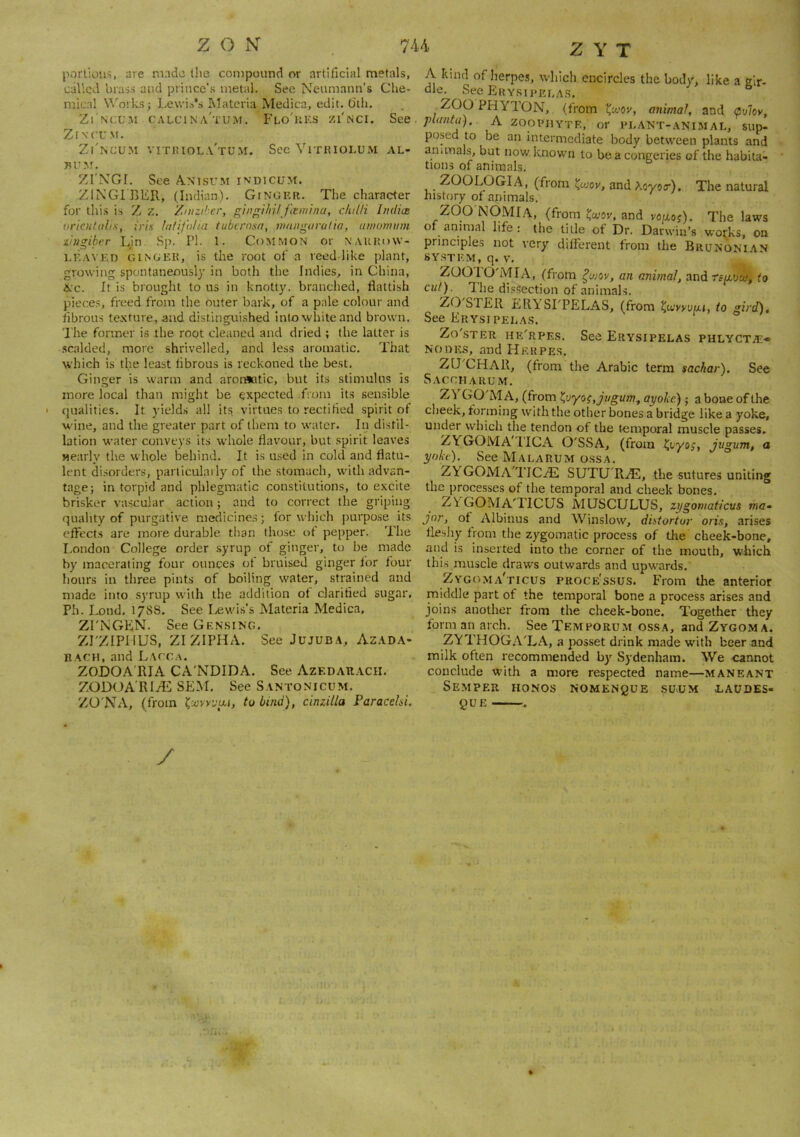 portions, are made the compound or artificial metals, called brass and prince's metal. See Neumann's Clie- micnl \^'orksJ Lewis’s Materia Medica, edit. 6'th, Zi'nCUM CALCIN a'tUM. pLO'liKS zi'nci. See Z IN-CUM. Zi'nCUM VITi’.lOL.V'TU.M, SceVlTKIOLUM AL- ZI'NGI. See A.nisum indicum. ZINGI BER, (Indian). Gingrr. The character for thi.s is Z z. Zniziber, gingi/ii/ ftinina, c/iil/i Iridice oricntdlis, iris lalifnlta tubirosn, mitngaralia, awowiim lingihcr Ljn Sp. PI. 1. Common or naukow- l.RAVRD GINGER, is the I'oot of a reed like plant, growing spontaneously in both the Indies, in China, A.C. It is brought to us in knotty, branched, flattish pieces, freed from the outer bark, of a pate colour and fibrous texture, and distinguished into white and brown. I he former is the root cleaned and dried ; the latter is .scalded, more shrivelled, and less aromatic. That which is the least fibrous is reckoned the best. Ginger is warm and arornatic, but its stimulus Is more local than might be expected from its sensible qualities. It yields all its, virtues to rectified spirit of wine, and the greater part of them to water. In distil- lation water conveys its whole flavour, but spirit leaves nearly the whole behind. It is used in cold and flatu- lent disorders, particulaily of the stomach, with advan- tage; in torpid and phlegmatic constitutions, to excite brisker vascular action; and to correct the griping quality of purgative medicines; for which purpose its effects are more durable tlian those of pepper. The London College order syrup of ginger, to be made by macerating four ounces ot bruised ginger lor four hours in three pints of boiling water, strained and made into syrup with the addition ot clarified sugar, Ph. Lend, 178S. See Lewis's Materia Medica, ZI'NGEN. See Gensing, ZrZIPIIUS, ZIZIPHA. See JUJUBA, Azada- BAUH, and Latga. ZODOA'RIA CA'NDIDA, See Azedau-Acii. ZODOA'RIAil SEM, See Santonicum. ZO'NA, (from l^ujvyjat, to bind), cinzilla Paracehi. Z Y T A kind of herpes, wdiich encircles the body, like a gir- die. See Ery.sipei.a.s. ZOO PHYT. ON, (from ^xov, animat, and (polov, pl(infa). A ZOOPHYTE, or Pl-ANT-animal, sup- posed to be an intermediate body between plants and animals, but now known to be a congeries of the habita- tions of animals. ZOOLOGIA, (from and Aoyo<r). The natural history ot animals. ZqO'NCDMlA, (from i^wov, and vo/xoj). The laws or animal life: the title of Dn Darwin’s works, on principles not very ditferent from the Brunonian 8Y.STEM, q. V. ZOO'IO'MIA, (from an animat, and rt/xva,', to cut). Ihe di.sSection of animals. ZO STER ERYSLPELAS, (from i^uyyvai, to gird). See Erysipelas, Zo'sTER hk'rpes. See Erysipelas phlycta:- NO nits, and Herpes. ZU'CHAR, (from the Arabic term sachar). See Saccmarum. 7j\ GO'AHV, (from K;->yoq,jiigum, ayotce); a bone of the cheek, forming with the other bones a bridge like a yoke, under which the tendon of the temporal muscle passes. ZYGOMA'I'ICA O'SSA, (from Jugum, a yoke). See Malarum OSSA. ZYGOMA'TICiE SUTU RAL, the sutures uniting the processes of the temporal and cheek bones. ZVGOMA'TICUS MUSCULUS, zygomaticus ma» jor, of Albinus and Winslow, distortur oris, arises fleshy from the zygomatic process of tlie cheek-bone, and is inserted into the corner of the mouth, which this muscle draws outwards and upw-ards. Zygoma'ticus proce'ssus. From the anterior middle part of the temporal bone a process arises and joins another from the cheek-bone. Together they form an arch. See Tempo rum ossa, and Zygoma. ZYTHOGAXA, a jwsset drink made with beer and milk often recommended by Sydenham. We cannot conclude with a more respected name—maneant Semper honos NOMENguE suum i,audes- que y