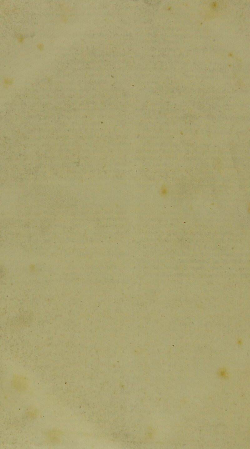 > '•‘1, <S4- -/ > t > ; 7 ■ >• ^. ’ . ‘V Tv'; ■V, -:1 *• \ lAfe K: K ■ / ’* . t - > f