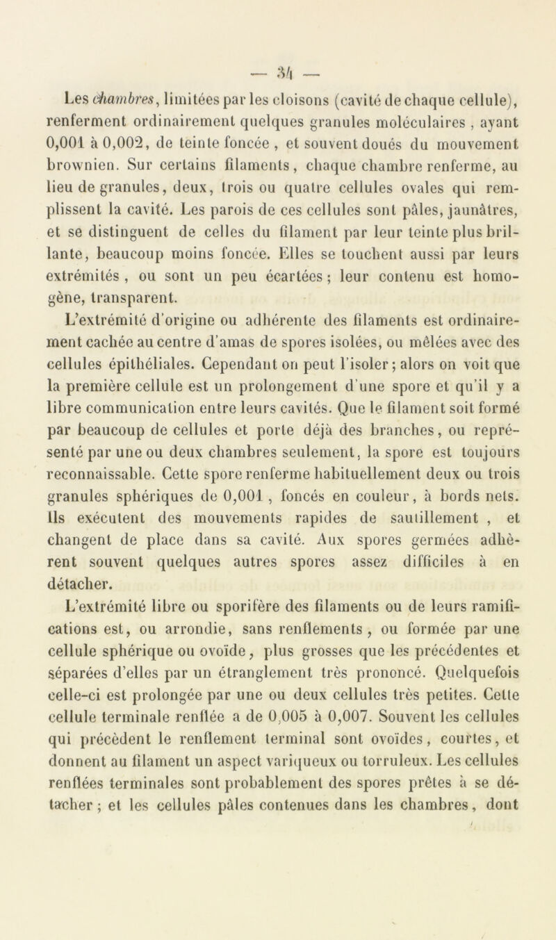 — ;Vi — Les diamhres^ limitées par les cloisons (cavité de chaque cellule), renferment ordinairement quelques granules moléculaires , ayant 0,001 à 0,005, de teinte foncée , et souvent doués du mouvement brownien. Sur certains filaments, chaque chambre renferme, au lieu de granules, deux, Irois ou quatre cellules ovales qui rem- plissent la cavité. Les parois de ces cellules sont pâles, jaunâtres, et se distinguent de celles du filament par leur teinte plus bril- lante, beaucoup moins foncée. Elles se touchent aussi par leurs extrémités , ou sont un peu écartées ; leur contenu est homo- gène, transparent. L’extrémité d’origine ou adhérente des filaments est ordinaire- ment cachée au centre d’amas de spores isolées, ou mêlées avec des cellules épithéliales. Cependant on peut l’isoler; alors on voit que la première cellule est un prolongement d’une spore et qu’il y a libre communication entre leurs cavités. Que le filament soit formé par beaucoup de cellules et porte déjà des branches, ou repré- senté par une ou deux chambres seulement, la spore est toujours reconnaissable. Cette spore renferme habituellement deux ou trois granules sphériques de 0,001, foncés en couleur, à bords nets. Us exécutent des mouvements rapides de sautillement , et changent de place dans sa cavité. Aux spores germées adhè- rent souvent quelques autres spores assez difficiles à en détacher. L’extrémité libre ou sporifère des filaments ou de leurs ramifi- cations est, ou arrondie, sans renflements, ou formée par une cellule sphérique ou ovoïde, plus grosses que les précédentes et séparées d’elles par un étranglement très prononcé. Quelquefois celle-ci est prolongée par une ou deux cellules très petites. Cette cellule terminale renflée a de 0,005 à 0,007. Souvent les cellules qui précèdent le renflement terminal sont ovoïdes, courtes, et donnent au filament un aspect varicjueux ou torruleux. Les cellules renflées terminales sont probablement des spores prêtes à se dé- tacher ; et les cellules pâles contenues dans les chambres, dont
