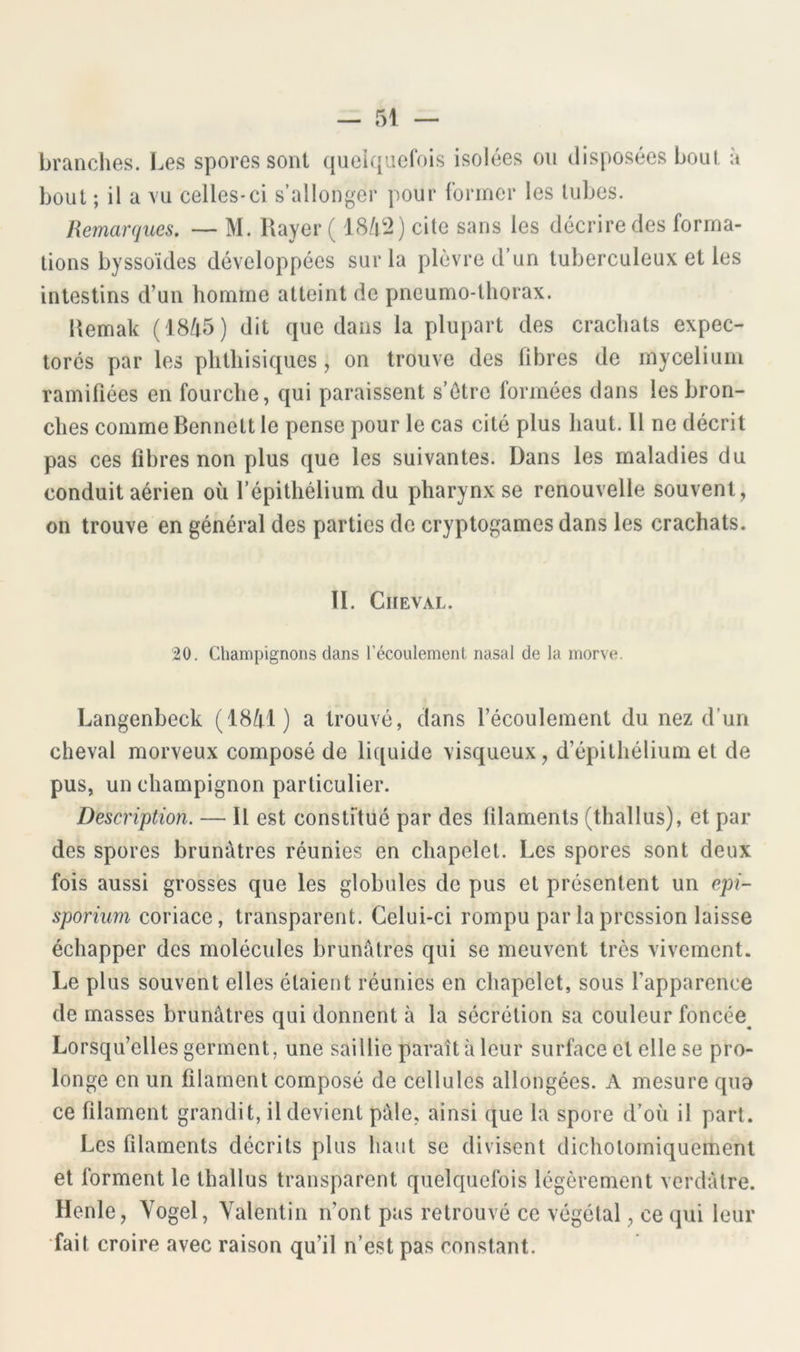 branches. Les spores sont (jueiqacfois isolées on disposées boni, à bout ; il a vu celles-ci s’allonger pour fonner les tubes. Remarques. — M. Rayer ( 18/t2) cite sans les décrire des forma- tions byssoïdes développées sur la plèvre d’un tuberculeux et les intestins d’un homme atteint de pneumo-thorax. Remak (18/i5) dit que dans la plupart des crachats expec- torés par les phthisiques, on trouve des fibres de mycélium ramifiées en fourche, qui paraissent s’ôtre formées dans les bron- ches comme Bennett le pense pour le cas cité plus haut. Il ne décrit pas ces libres non plus que les suivantes, üans les maladies du conduit aérien où l’épithélium du pharynx se renouvelle souvent, on trouve en général des parties de cryptogames dans les crachats. II. Cheval. 20. Champignons dans l’écoulement nasal de la morve. Langenbeck (18/tl) a trouvé, dans l’écoulement du nez d’un cheval morveux composé de liquide visqueux, d’épithélium et de pus, un champignon particulier. Description. — Il est constRué par des filaments (thallus), et par des spores brunâtres réunies en chapelet. Les spores sont deux fois aussi grosses que les globules de pus et présentent un epi- sporium coriace, transparent. Celui-ci rompu par la pression laisse échapper des molécules brunâtres qui se meuvent très vivement. Le plus souvent elles étaient réunies en chapelet, sous fapparence de masses brunâtres qui donnent à la sécrétion sa couleur foncée^ Lorsqu’elles germent, une saillie paraît à leur surface et elle se pro- longe en un filament composé de cellules allongées. A mesure quo ce filament grandit, il devient pâle, ainsi que la spore d’où il part. Les filaments décrits plus haut se divisent dichotomiquement et forment le thallus transparent quelquefois légèrement verdâtre. Henle, Vogel, Valentin n’ont pas retrouvé ce végétal, ce qui leur •fait croire avec raison qu’il n’est pas constant.