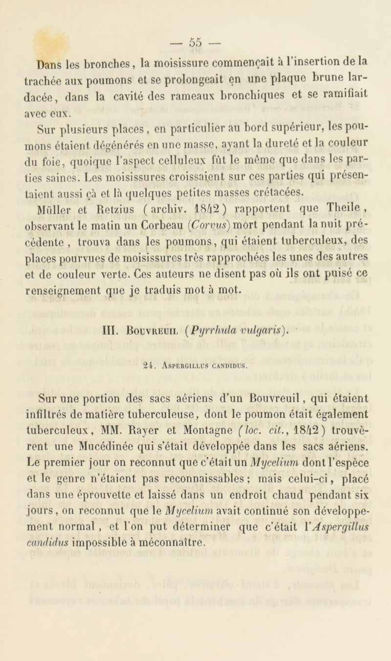 Dans les bronches, la moisissure commençait à l’insertion de la trachée aux poumons et se prolongeait en une plaque brune lar- dacée, dans la cavité des rameaux bronchiques et se ramifiait avec eux. Sur plusieurs places, en particulier au bord supérieur, les pou- mons étaient dégénérés en une masse, ayant la dureté et la couleur du foie, quoique l’aspect celluleux fût le même que dans les par- ties saines. Les moisissures croissaient sur ces parties qui présen- taient aussi çà et là (juelques petites masses crétacées. Millier et Retzius ( arcliiv. 18à2) rapportent que Tlieile , observant le matin un Corbeau {Corvus) mort pendant la nuit pré- cédente , trouva dans les poumons, qui étaient tuberculeux, des places pourvues de moisissures très rapprochées les unes des autres et de couleur verte. Ces auteurs ne disent pas où ils ont puisé ce renseignement que je traduis mot 5 mot. III. Bouvreuil (Pyrrhula vulgaris). ■ 24. Aspergillus candidus. Sur une portion des sacs aériens d’un Bouvreuil, qui étaient infiltrés de matière tuberculeuse, dont le poumon était également tuberculeux, MM. Bayer et Montagne (loc. cit., 18û2) trouvè- rent une Mucédinée qui s’était développée dans les sacs aériens. Le premier jour on reconnut que c’était un Mycélium dont l’espèce et le genre n’étaient pas reconnaissables ; mais celui-ci, placé dans une éprouvette et laissé dans un endroit chaud pendant six jours, on reconnut que le Mycélium avait continué son développe- ment normal, et l’on put déterminer que c’était VAspergillus candidus impossible à méconnaître.