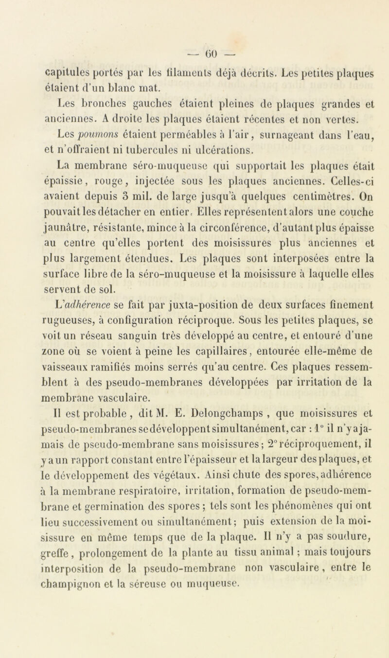 00 capitules portés par les lilametils déjà décrits. Les petites plaques étaient d’un blanc mat. Les bronches gauches étaient pleines de pla([ues grandes et anciennes. A droite les plaques étaient récentes et non vertes. Lgs pounw7is étaient perméables à l’air, surnageant dans l’eau, et n’offraient ni tubercules ni ulcérations. La membrane séro-muqueuse ([ui supportait les plaques était épaissie, rouge, injectée sous les plaques anciennes. Celles-ci avaient depuis o mil. de large jusqu’à quelques centimètres. On pouvait les détacher en entier. Elles représentent alors une couche jaunâtre, résistante, mince à la circonférence, d’autant plus épaisse au centre qu’elles portent des moisissures plus anciennes et plus largement étendues. Les plaques sont interposées entre la surface libre de la séro-muqueuse et la moisissure à laquelle elles servent de sol. Vadhérence se fait par juxta-position de deux surfaces finement rugueuses, à configuration réciproque. Sous les petites plaques, se voit un réseau sanguin très développé au centre, et entouré d’une zone où se voient à peine les capillaires, entourée elle-même de vaisseaux ramifiés moins serrés qu’au centre. Ces plaques ressem- blent à des pseudo-membranes développées par irritation de la membrane vasculaire. Il est probable, dit M. E. Delongchamps , que moisissures et pseudo-membranes se développent simultanément, car : 1“ il n’y a ja- mais de pseudo-membrane sans moisissures; réciproquement, il y a un rapport constant entre l’épaisseur et la largeur des plaques, et le développement des végétaux. Ainsi chute des spores, adhérence à la membrane respiratoire, irritation, formation de pseudo-mem- brane et germination des spores ; tels sont les phénomènes qui ont lieu successivement ou simultanément; puis extension de la moi- sissure en môme temps que de la plaque. Il n’y a pas soudure, greffe, prolongement de la plante au tissu animal ; mais toujours interposition de la pseudo-membrane non vasculaire, entre le champignon et la séreuse ou muqueuse.