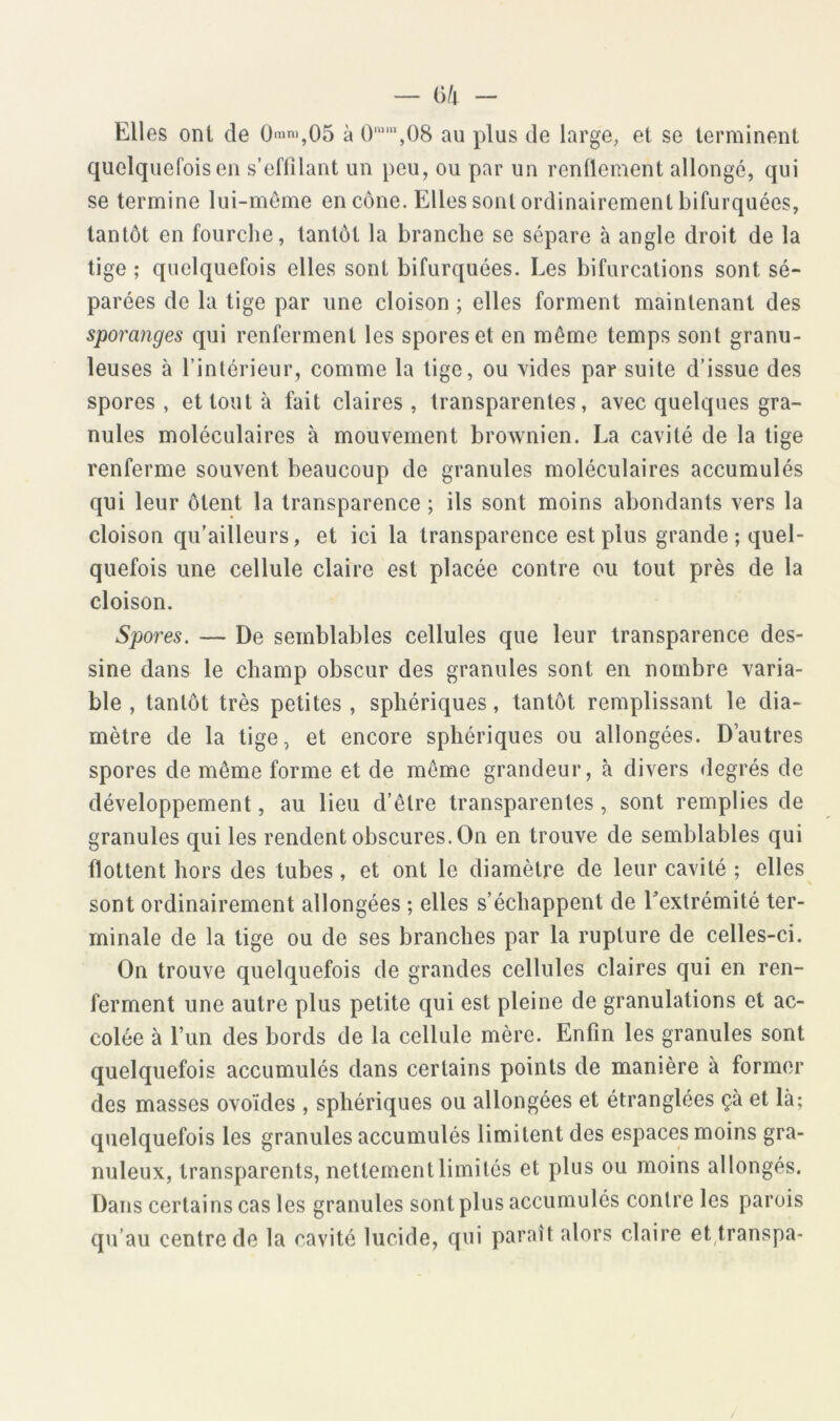 — ()/l - Elles ont de 0'«n*,05 à 0'““\08 au plus de large, et se terminent quelquefois en s’effilant un peu, ou par un renflement allongé, qui se termine lui-même en cône. Elles sont ordinairement bifurquées, tantôt en fourche, tantôt la branche se sépare à angle droit de la tige ; quelquefois elles sont bifurquées. Les bifurcations sont sé- parées de la tige par une cloison ; elles forment maintenant des sporanges qui renferment les spores et en même temps sont granu- leuses à l’intérieur, comme la tige, ou vides par suite d’issue des spores, et tout à fait claires, transparentes, avec quelques gra- nules moléculaires à mouvement brownien. La cavité de la tige renferme souvent beaucoup de granules moléculaires accumulés qui leur ôtent la transparence ; ils sont moins abondants vers la cloison qu'ailleurs, et ici la transparence est plus grande; quel- quefois une cellule claire est placée contre ou tout près de la cloison. Spores. — De semblables cellules que leur transparence des- sine dans le champ obscur des granules sont en nombre varia- ble , tantôt très petites, sphériques, tantôt remplissant le dia- mètre de la tige, et encore sphériques ou allongées. D’autres spores de même forme et de même grandeur, à divers degrés de développement, au lieu d’être transparentes, sont remplies de granules qui les rendent obscures. On en trouve de semblables qui flottent hors des tubes , et ont le diamètre de leur cavité ; elles sont ordinairement allongées ; elles s’échappent de Lextrémité ter- minale de la tige ou de ses branches par la rupture de celles-ci. On trouve quelquefois de grandes cellules claires qui en ren- ferment une autre plus petite qui est pleine de granulations et ac- colée à rim des bords de la cellule mère. Enfin les granules sont quelquefois accumulés dans certains points de manière à former des masses ovoïdes , sphériques ou allongées et étranglées çà et là; quelquefois les granules accumulés limitent des espaces moins gra- nuleux, transparents, nettement limités et plus ou moins allongés. Dans certains cas les granules sont plus accumulés contre les parois qu’au centre de la cavité lucide, qui paraît alors claire et transpa-