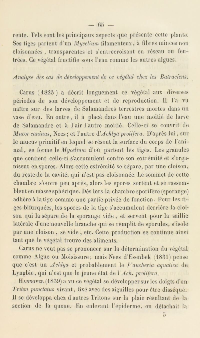 rente. Tels sont les principaux aspects que présente cotte plante. Ses liges ))aiTent tTun Myccliuiii fllamentenx, à fibres minces non cloisonnées, transparentes et s’entrecroisant en réseau ou feu- trées. Ce végétal fructifie sous l’eau comme les autres algues. Analyse des cas de développement de ce végétal chez les Batraciens, Carus (1823) a décrit longuement ce végétal aux diverses périodes de son développement et de reproduction. Il l’a vu naître sur des larves de Salamandres terrestres mortes dans un vase d’eau. En outre, il a placé dans l’eau une moitié de larve de Salamandre et à l’air l’autre moitié. Celle-ci se couvrit de Mucor caninus, Nees; et l’autre dé A chly a proliféra. D’après lui, sur le mucus primitif en lequel se résout la surface du corps de l’ani- mal, se forme \q Mycélium d’où partent les tiges. Les granules que contient celle-ci s’accumulent contre son extrémité et s’orga- nisent en spores. Alors celte extrémité se sépare, par une cloison, du reste de la cavité, qui n’est pas cloisonnée. Le sommet de celte chambre s’ouvre peu après, alors les spores sortent et se rassem- blent en masse sphérique. Dès lors la chambre sporifère (sporange) adhère à la tige comme une partie privée de fonction. Pour les ti- ges bifurquées, les spores de la tige s’accumulent derrière la cloi- son qui la sépare de la sporange vide , et servent pour la saillie latérale d’une nouvelle branche qui se remplit de sporules, s’isole par une cloison , se vide , etc. Cette production se continue ainsi tant que le végétal trouve des aliments. Carus ne veut pas se prononcer sur la détermination du végétal comme Algue ou Moisissure; mais Nees d’Esenbek (1831) pense que c’est un Achlya et probablement le Vaucheria aquaiica de Lyngbie, qui n’est que le jeune état de VAch. proliféra. Hannoveu (1839) a vu ce végétal se développer sur les doigts d'un Triton punctatus vivant, fixé avec des aiguilles pour être disséqué. 11 se développa chez d'autres Tritons sur la plaie résultant de la section de la queue. En enlevant l’épiderme, on détachail lu