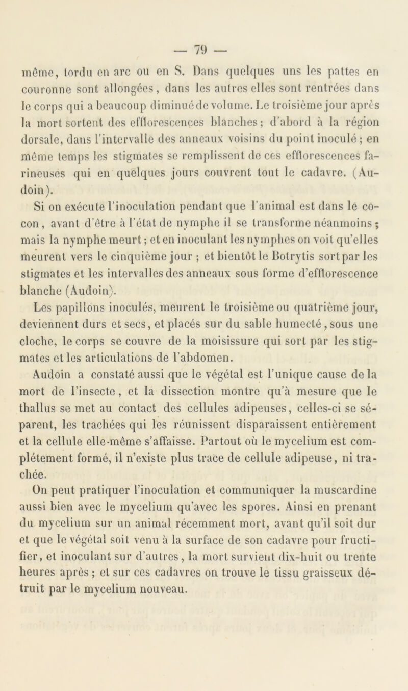 mômo, lordii on arc ou on S. Dans quelques uns les pattes en couronne sont allongées, clans les autres elles sont rentrées clans le corps qui a beaucoup diminué de volume. Le troisième jour après la mort sortent des elïlorescençes blanches ; d’abord à la région dorsale, dans l’intervalle des anneaux voisins du point inoculé ; en meme temps les stigmates se remplissent de ces efflorescences fa- rineuses qui en quelques jours couvrent tout le cadavre. (Au- cloin). Si on exécute l’inoculation pendant que l’animal est clans le co- con, avant d’étre à l’état de nymphe il se transforme néanmoins ; mais la nymphe meurt ; et en inoculant les nymphes on voit qu’elles meurent vers le cincpiième jour ; et bientôt le Botrytis sortpar les stigmates et les intervalles des anneaux sous forme d’efflorescence blanche (Aucloin). Les papillons inoculés, meurent le troisième ou quatrième jour, deviennent durs et secs, et placés sur du sable humecté, sous une cloche, le corps se couvre de la moisissure qui sort par les stig- mates et les articulations de l’abdomen. Aucloin a constaté aussi c[ue le végétal est l’unique cause de la mort de l’insecte, et la dissection montre qu’à mesure que le thallus se met au contact des cellules adipeuses, celles-ci se sé- parent, les trachées qui les réunissent disparaissent entièrement et la cellule elle-même s’affaisse. Partout où le mycélium est com- plètement formé, il n’existe plus trace de cellule adipeuse, ni tra- chée. On peut pratiquer l’inoculation et communic(uer la muscardine aussi bien avec le mycélium qu’avec les spores. Ainsi en prenant du mycélium sur un animal récemment mort, avant qu’il soit dur et que le végétal soit venu à la surface de son cadavre pour fructi- fier, et inoculant sur d’autres, la mort survient dix-huit ou trente heures après ; et sur ces cadavres on trouve le tissu graisseux dé- truit par le mycélium nouveau.