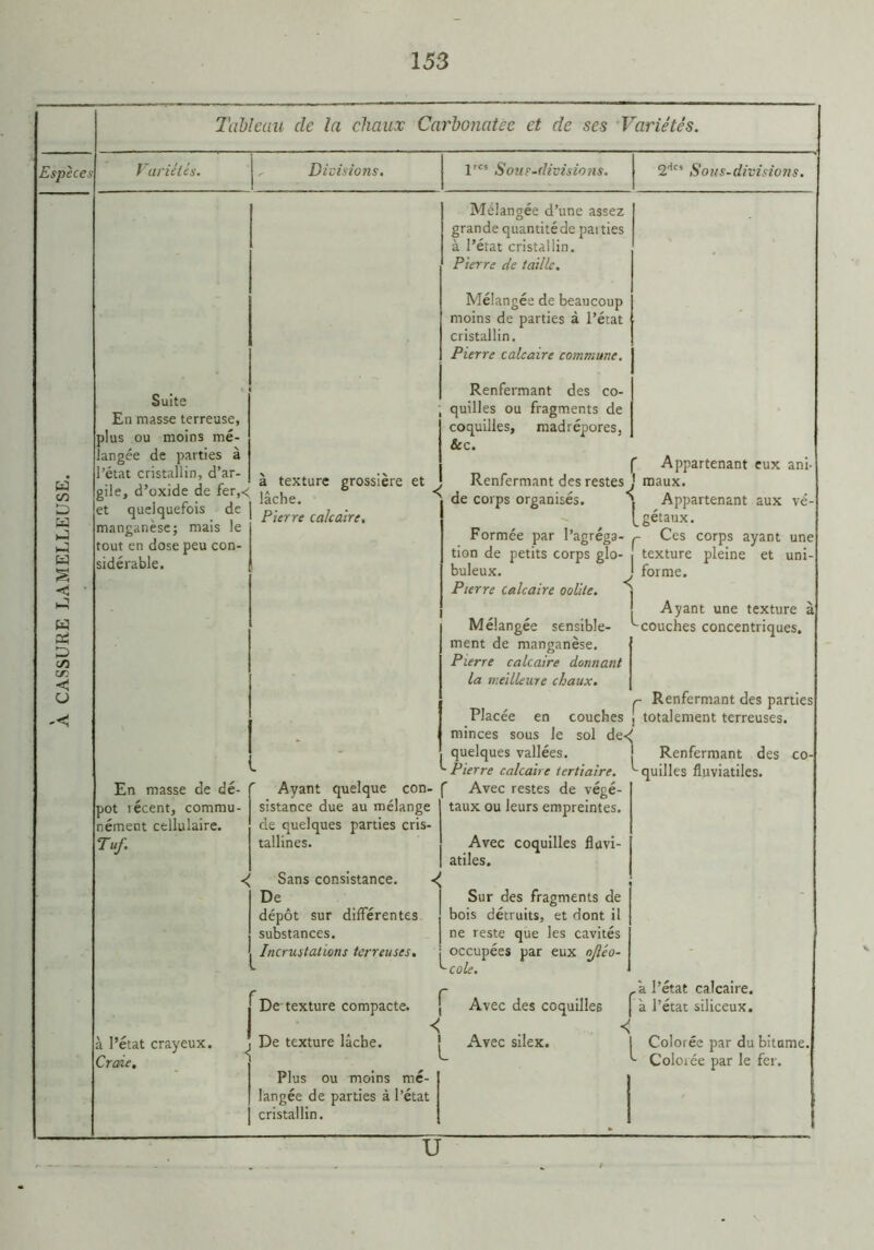 Suite plus ou moins mé- langée de parties à 'état cristallin, d’ar- gile, d’oxide de fer,^ et quelquefois de manganèse; mais le a texture grossière et . lâche. ' Pierre calcaire. En masse de dé- pôt récent, commu- nément cellulaire. Tuf. Ayant quelque con- sistance due au mélange de quelques parties cris- tallines. Sans consistance. De dépôt sur différentes substances. Incrustations terreuses. Mélangée d’une assez gran de quantité de pat ties à l’état cristallin. Pierre de taille. Mélangée de beaucoup moins de parties à l’état cristallin. Pierre calcaire commune. Renfermant des co- quilles ou fragments de coquilles, madrépores, &c. f Appartenant eux ani Renfermant des restes J maux, de corps organisés. Appartenant aux vé- gétaux Formée par l’agréga- ç Ces corps ayant une la meilleure chaux. l Placée en couches minces sous Je sol de«é quelques vallées. Pierre calcaire tertiaire. ^ Avec restes de végé- taux ou leurs empreintes. Avec coquilles fîavi- atiles. Sur des fragments de bois détruits, et dont il ne reste que les cavités occupées par eux njléo- cole. ç Renfermant des parties J totalement terreuses. Renfermant des quilles fluviatiles. co r à l’état crayeux. Craie, De texture compacte. , De texture lâche. r L Avec des coquilles Avec silex. à l’état calcaire. | à l’état siliceux. < Plus ou moins mé- langée de parties à l’état cristallin. ! Colorée par du bitume, ^ Colorée par le fer. U