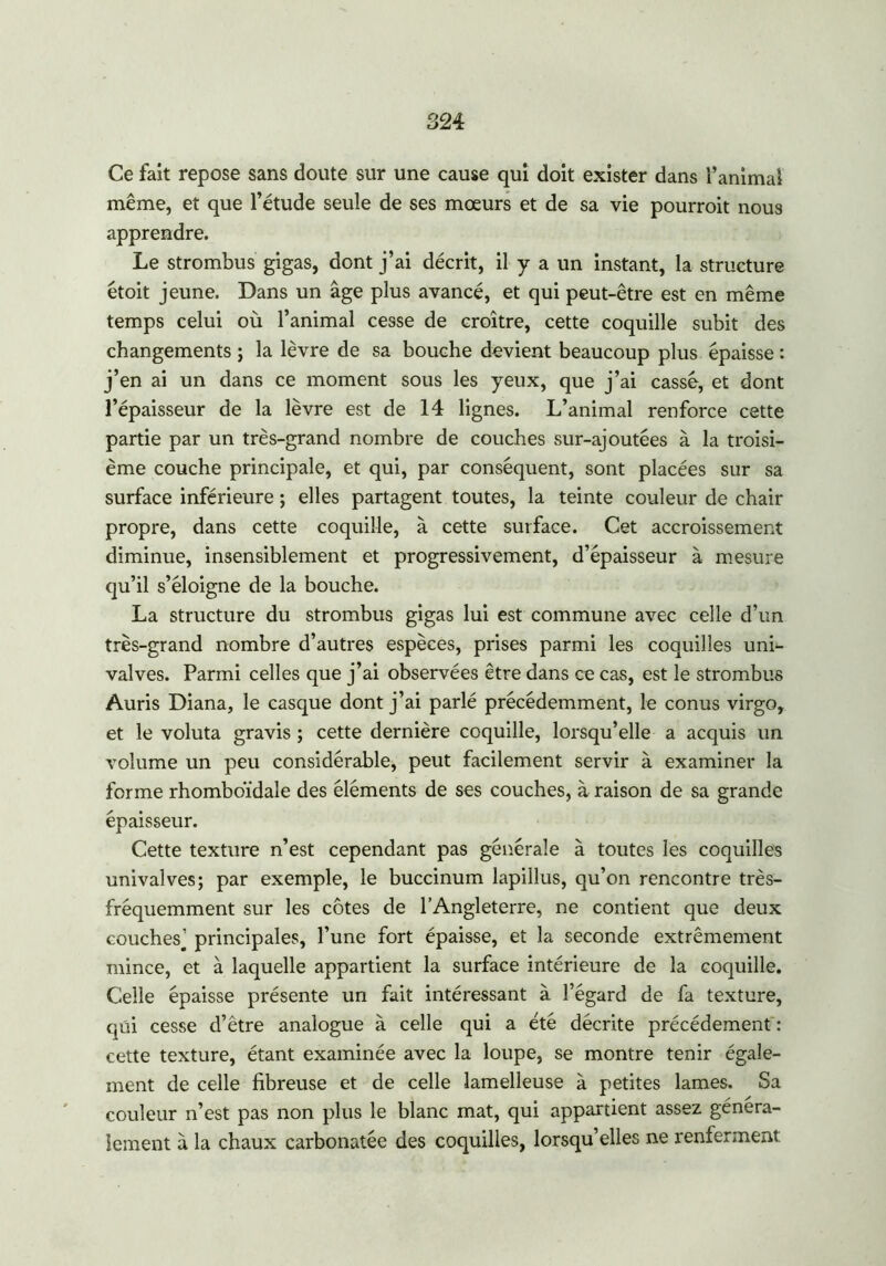 Ce fait repose sans doute sur une cause qui doit exister dans l’animai même, et que l’étude seule de ses mœurs et de sa vie pourrait nous apprendre. Le strombus gigas, dont j’ai décrit, il y a un instant, la structure étoit jeune. Dans un âge plus avancé, et qui peut-être est en même temps celui où l’animal cesse de croître, cette coquille subit des changements ; la lèvre de sa bouche devient beaucoup plus épaisse : j’en ai un dans ce moment sous les yeux, que j’ai cassé, et dont l’épaisseur de la lèvre est de 14 lignes. L’animal renforce cette partie par un très-grand nombre de couches sur-ajoutées à la troisi- ème couche principale, et qui, par conséquent, sont placées sur sa surface inférieure ; elles partagent toutes, la teinte couleur de chair propre, dans cette coquille, à cette surface. Cet accroissement diminue, insensiblement et progressivement, d’épaisseur à mesure qu’il s’éloigne de la bouche. La structure du strombus gigas lui est commune avec celle d’un très-grand nombre d’autres espèces, prises parmi les coquilles uni- valves. Parmi celles que j’ai observées être dans ce cas, est le strombus Auris Diana, le casque dont j’ai parlé précédemment, le conus virgo, et le voluta gravis ; cette dernière coquille, lorsqu’elle a acquis un volume un peu considérable, peut facilement servir à examiner la forme rhomboïdale des éléments de ses couches, à raison de sa grande épaisseur. Cette texture n’est cependant pas générale à toutes les coquilles univalves; par exemple, le buccinum lapillus, qu’on rencontre très- fréquemment sur les côtes de l’Angleterre, ne contient que deux couches’ principales, l’une fort épaisse, et la seconde extrêmement mince, et à laquelle appartient la surface intérieure de la coquille. Celle épaisse présente un fait intéressant à l’égard de fa texture, qui cesse d’être analogue à celle qui a été décrite précédement : cette texture, étant examinée avec la loupe, se montre tenir égale- ment de celle fibreuse et de celle lamelleuse à petites lames. Sa couleur n’est pas non plus le blanc mat, qui appartient assez généra- lement à la chaux carbonatée des coquilles, lorsqu’elles ne renferment