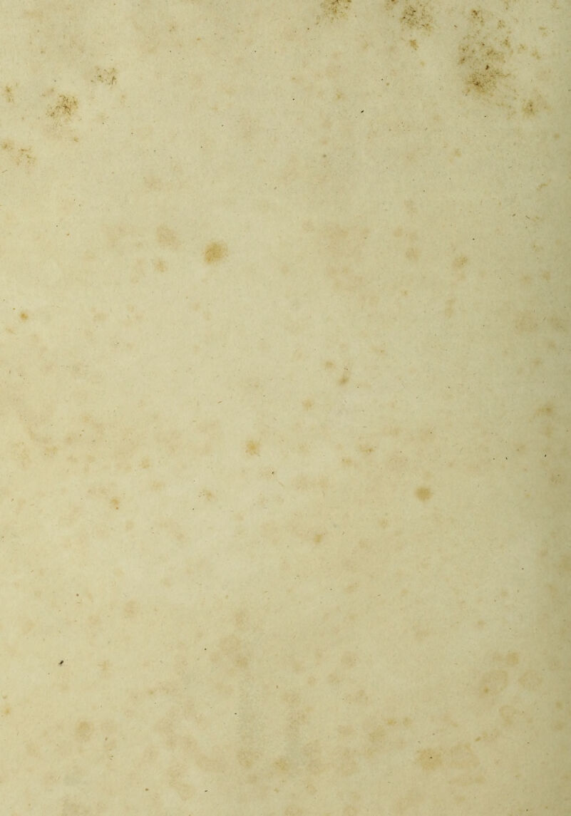 * '{•< ■ *?■ . ■:n •/ ' *. . - •* ,*. ;; > : * . .