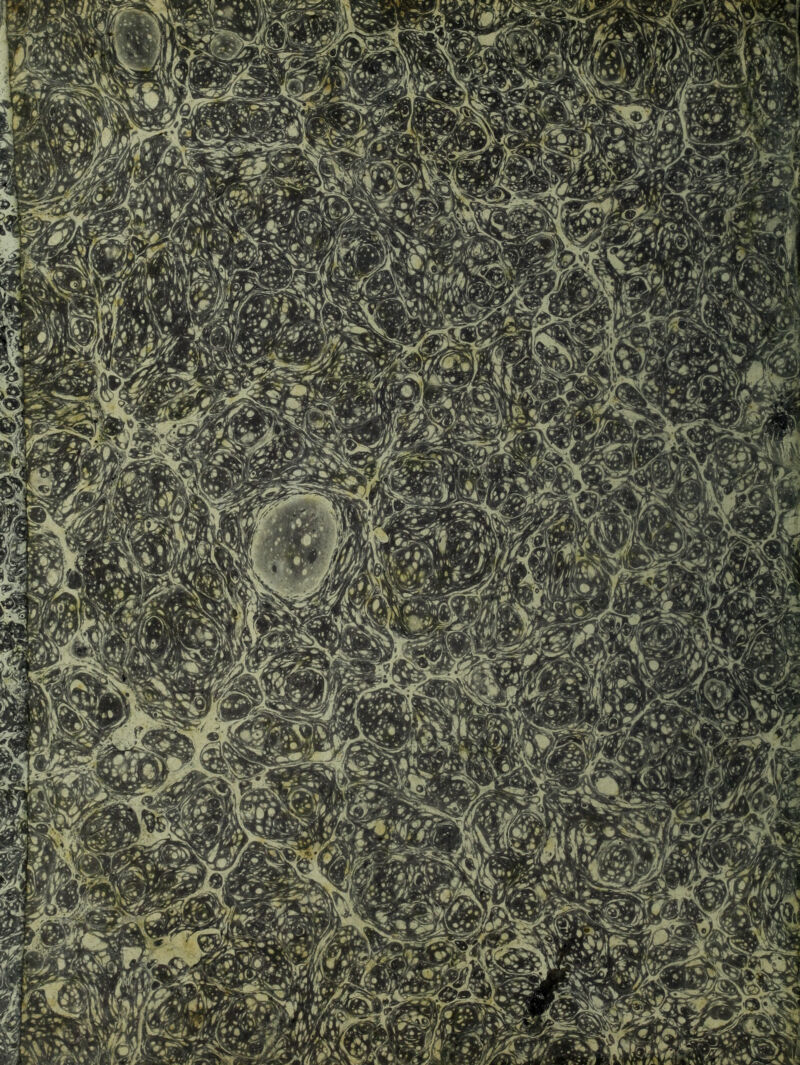 No text description is available for this image