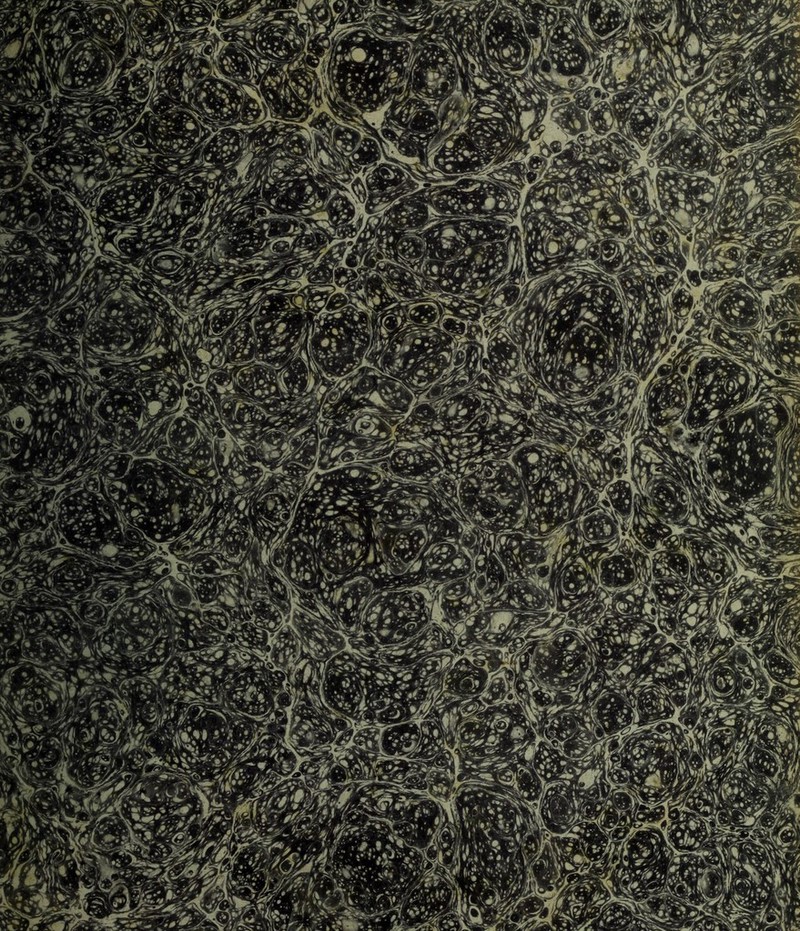 Mj'] * \ ' X* ' Vl i'7.) g »■; !S 1 1