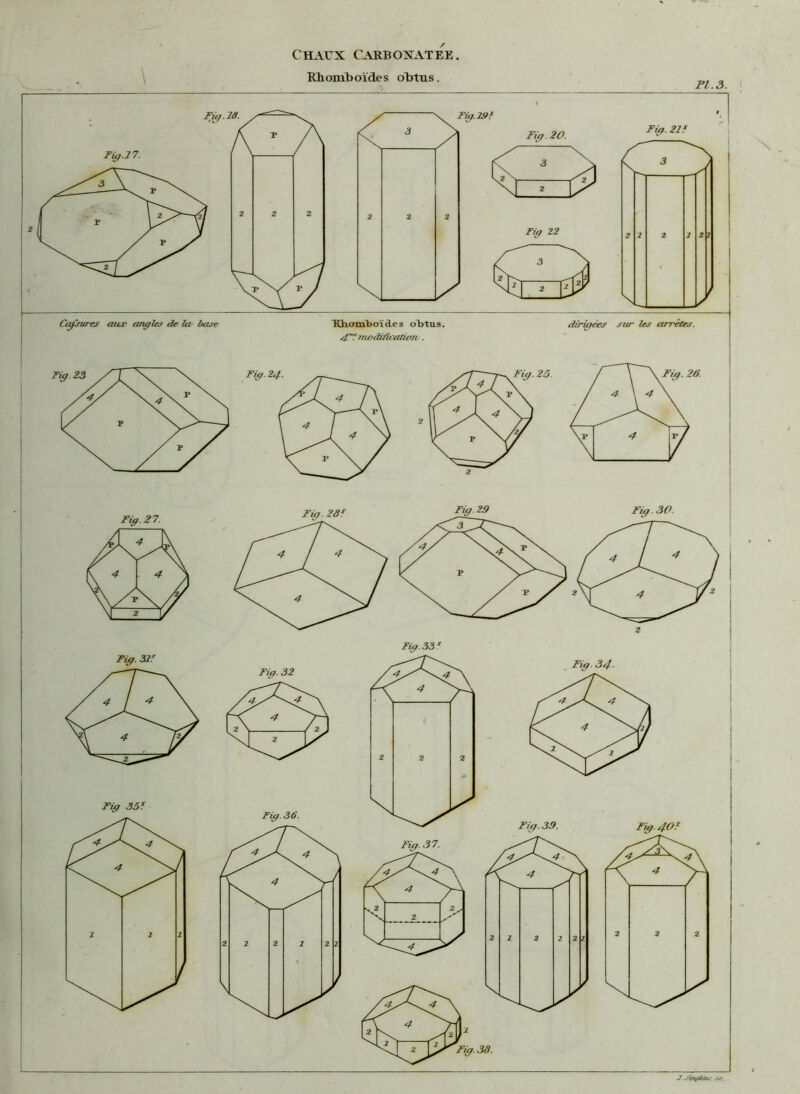 Rhomboïdes obtus. PI. 3. \ J. Sùnpkï/iï sc.