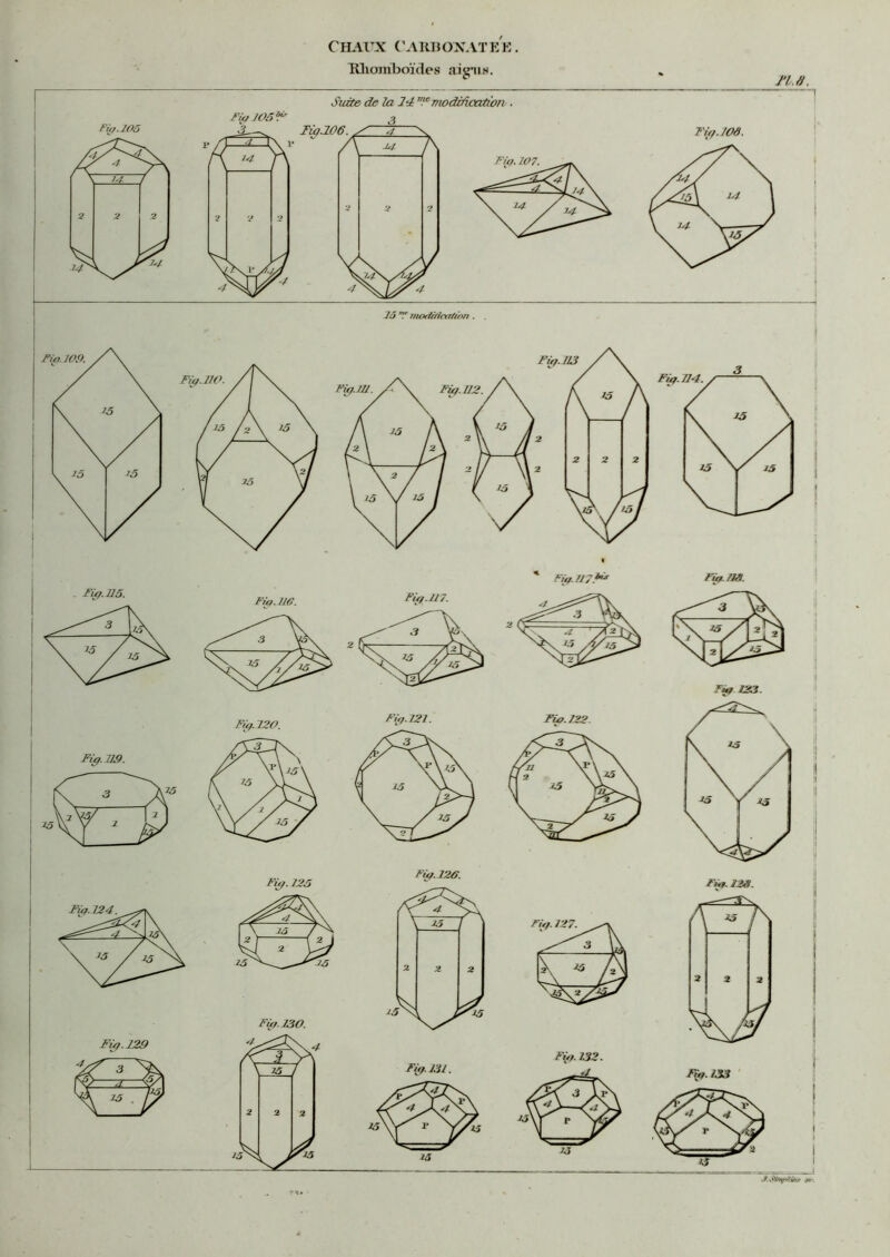 Ttliomboïdes aignis. s n.s.