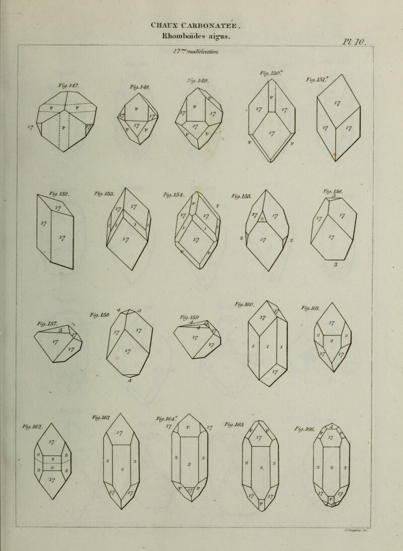Rhomboïdes aigus. PL 10.