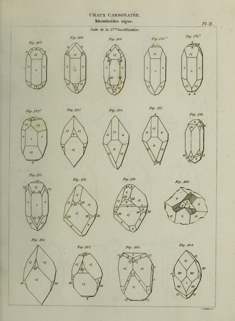 Rhomboïdes ai gai s. Fl.ll.