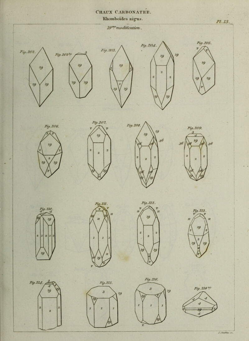 liliomboïdes aigus. 19 m.emodiûcation . Tl.13. !