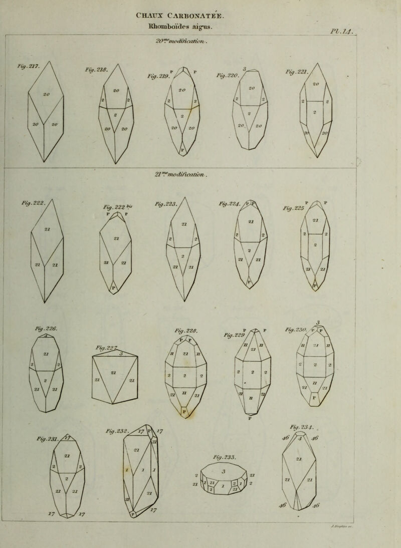 Rhomboïdes aigus. 20'Pnuxù'ficafi'oji. PI JJ. Simpkînt te.