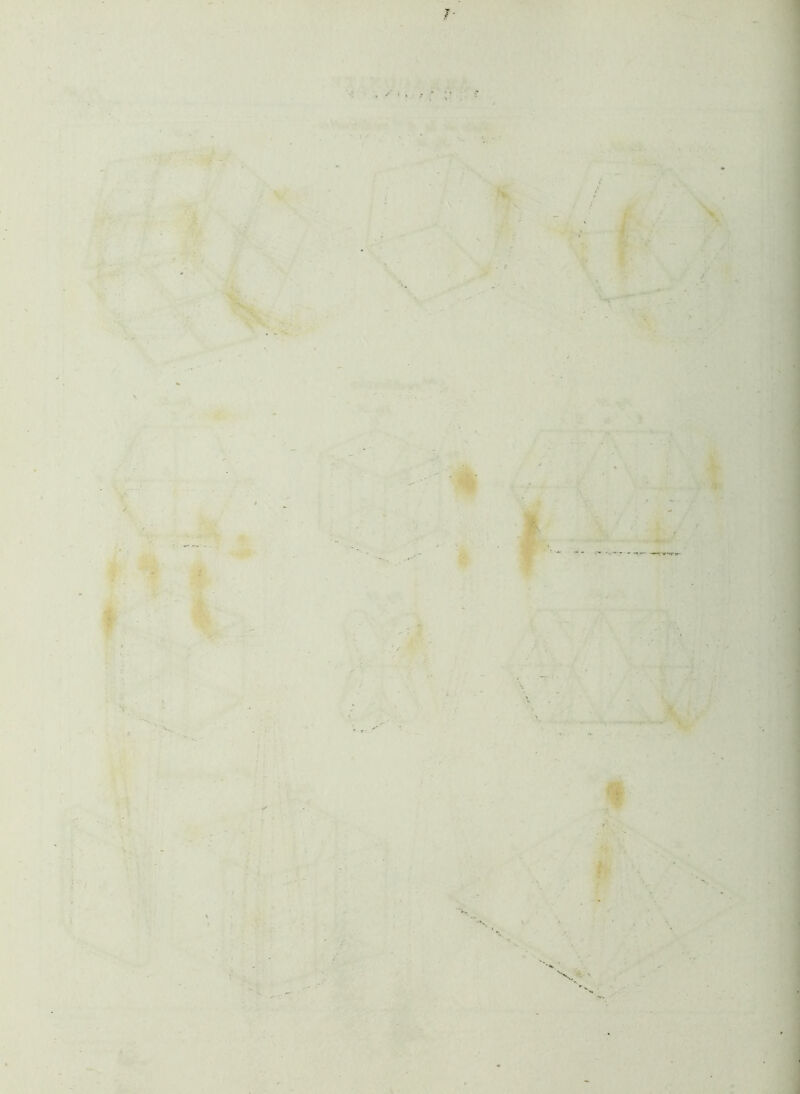' /' •