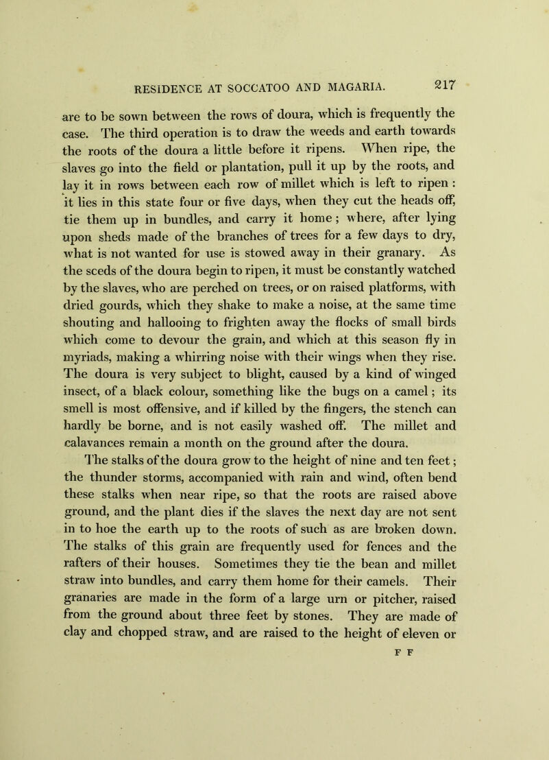 are to be sown between the rows of doura, which is frequently the case. The third operation is to draw the weeds and earth towards the roots of the doura a little before it ripens. When ripe, the slaves go into the field or plantation, pull it up by the roots, and lay it in rows between each row of millet which is left to ripen : it lies in this state four or five days, when they cut the heads off, tie them up in bundles, and carry it home ; where, after lying upon sheds made of the branches of trees for a few days to dry, what is not wanted for use is stowed away in their granary. As the seeds of the doura begin to ripen, it must be constantly watched by the slaves, who are perched on trees, or on raised platforms, with dried gourds, which they shake to make a noise, at the same time shouting and hallooing to frighten away the flocks of small birds which come to devour the grain, and which at this season fly in myriads, making a whirring noise with their wings when they rise. The doura is very subject to blight, caused by a kind of winged insect, of a black colour, something like the bugs on a camel; its smell is most offensive, and if killed by the fingers, the stench can hardly be borne, and is not easily washed off. The millet and calavances remain a month on the ground after the doura. The stalks of the doura grow to the height of nine and ten feet; the thunder storms, accompanied with rain and wind, often bend these stalks when near ripe, so that the roots are raised above ground, and the plant dies if the slaves the next day are not sent in to hoe the earth up to the roots of such as are broken down. The stalks of this grain are frequently used for fences and the rafters of their houses. Sometimes they tie the bean and millet straw into bundles, and carry them home for their camels. Their granaries are made in the form of a large urn or pitcher, raised from the ground about three feet by stones. They are made of clay and chopped straw, and are raised to the height of eleven or F F