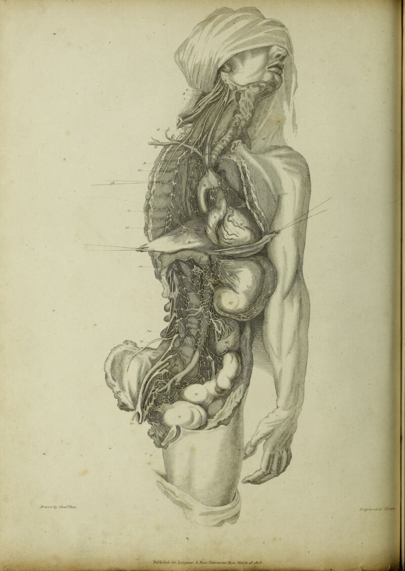 JJratvri'try Cha'f.Belt