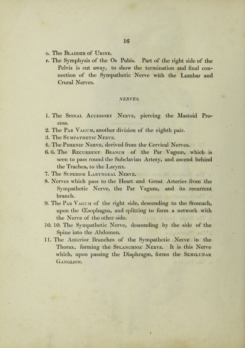 o. The Bladder of Urine. p. The Symphysis of the Os Pubis. Part of the right side of the Pelvis is cut away, to show the termination and final con- nection of the Sympathetic Nerve with the Lumbar and Crural Nerves. NER VES. i 1. The Spinal Accessory Nerve, piercing the Mastoid Pro- cess. 2. The Par Vagum, another division of the eighth pair. 3. The Sympathetic Nerve. 4. The Phrenic Nerve, derived from the Cervical Nerves. 6.6. The Recurrent Branch of the Par Vagum, which is seen to pass round the Subclavian Artery, and ascend behind the Trachea, to the Larynx. 7. The Superior Laryngeal Nerve. 8. Nerves which pass to the Heart and Great Arteries from the Sympathetic Nerve, the Par Vagum, and its recurrent branch. 9. The Par Vagum of the right side, descending to the Stomach, upon the (Esophagus, and splitting to form a network with the Nerve of the other side. 10. 10. The Sympathetic Nerve, descending by the side of the Spine into the Abdomen. 11. The Anterior Branches of the Sympathetic Nerve in the Thorax, forming the Splanchnic Nerve. It is this Nerve which, upon passing the Diaphragm, forms the Semilunar Ganglion. »