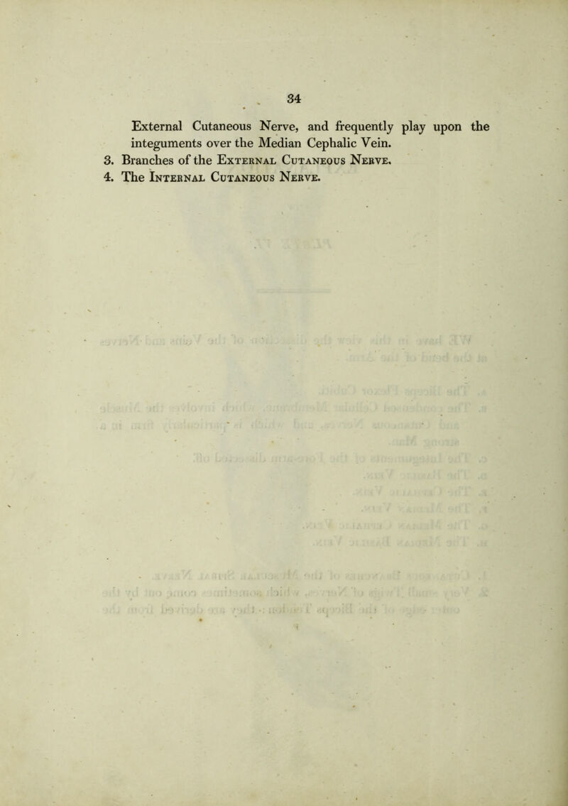 External Cutaneous Nerve, and frequently play upon the integuments over the Median Cephalic Vein. 3. Branches of the External Cutaneous Nerve. 4. The Internal Cutaneous Nerve.