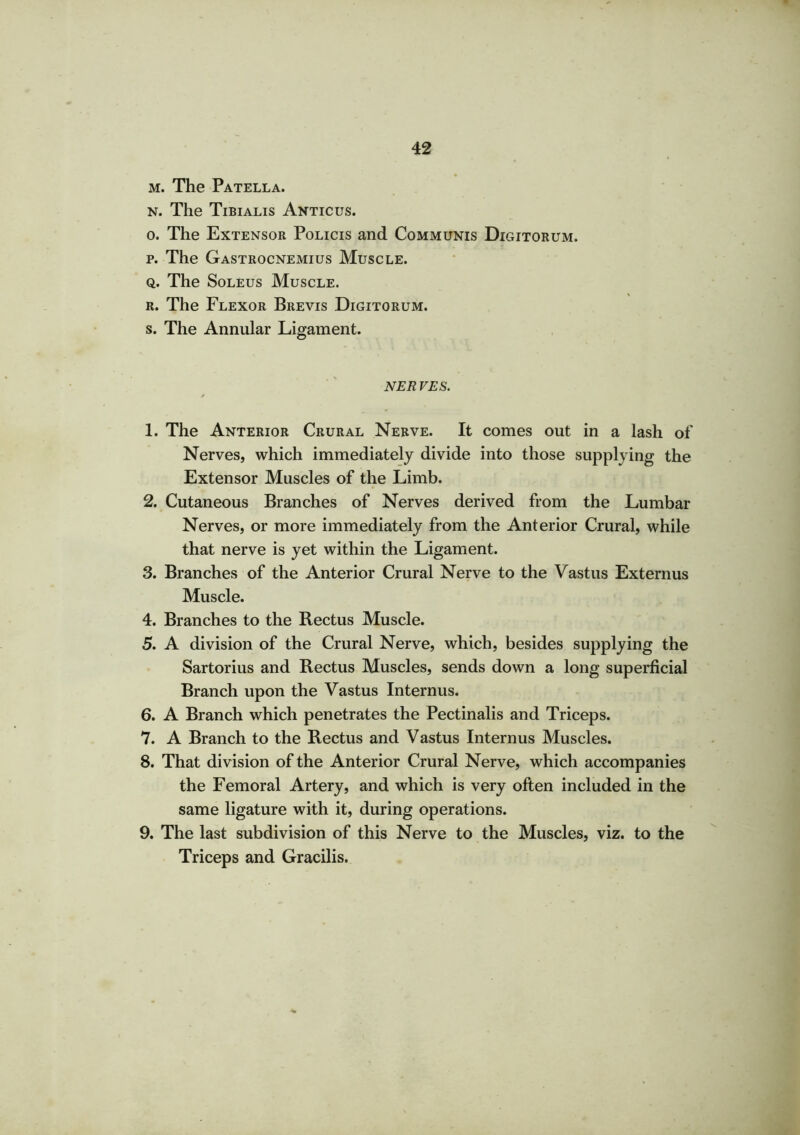 m. The Patella. n. The Tibialis Anticus. o. The Extensor Policis and Communis Digitorum. p. The Gastrocnemius Muscle. q. The Soleus Muscle. r. The Flexor Brevis Digitorum. s. The Annular Ligament. NER VES. 1. The Anterior Crural Nerve. It comes out in a lash of Nerves, which immediately divide into those supplying the Extensor Muscles of the Limb. 2. Cutaneous Branches of Nerves derived from the Lumbar Nerves, or more immediately from the Anterior Crural, while that nerve is yet within the Ligament. 3. Branches of the Anterior Crural Nerve to the Vastus Externus Muscle. 4. Branches to the Rectus Muscle. 5. A division of the Crural Nerve, which, besides supplying the Sartorius and Rectus Muscles, sends down a long superficial Branch upon the Vastus Internus. 6. A Branch which penetrates the Pectinalis and Triceps. 7. A Branch to the Rectus and Vastus Internus Muscles. 8. That division of the Anterior Crural Nerve, which accompanies the Femoral Artery, and which is very often included in the same ligature with it, during operations. 9. The last subdivision of this Nerve to the Muscles, viz. to the Triceps and Gracilis.