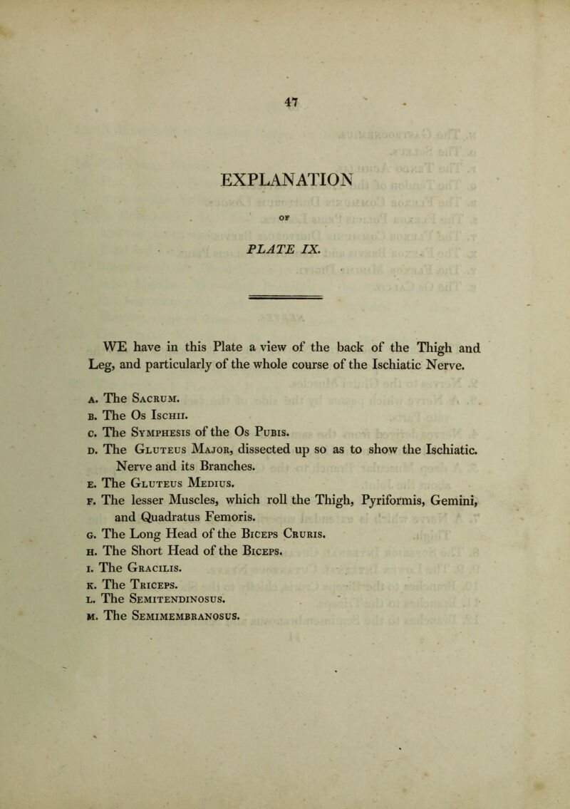 EXPLANATION OF PLATE IX. WE have in this Plate a view of the back of the Thigh and Leg, and particularly of the whole course of the Ischiatic Nerve. a. The Sacrum. b. The Os Ischii. c. The Symphesis of the Os Pubis. d. The Gluteus Major, dissected up so as to show the Ischiatic. Nerve and its Branches. e. The Gluteus Medius. f. The lesser Muscles, which roll the Thigh, Pyriformis, Gemini, and Quadratus Femoris. g. The Long Head of the Biceps Cruris. h. The Short Head of the Biceps. i. The Gracilis. k. The Triceps. l. The Semitendinosus. m. The Semimembranosus.