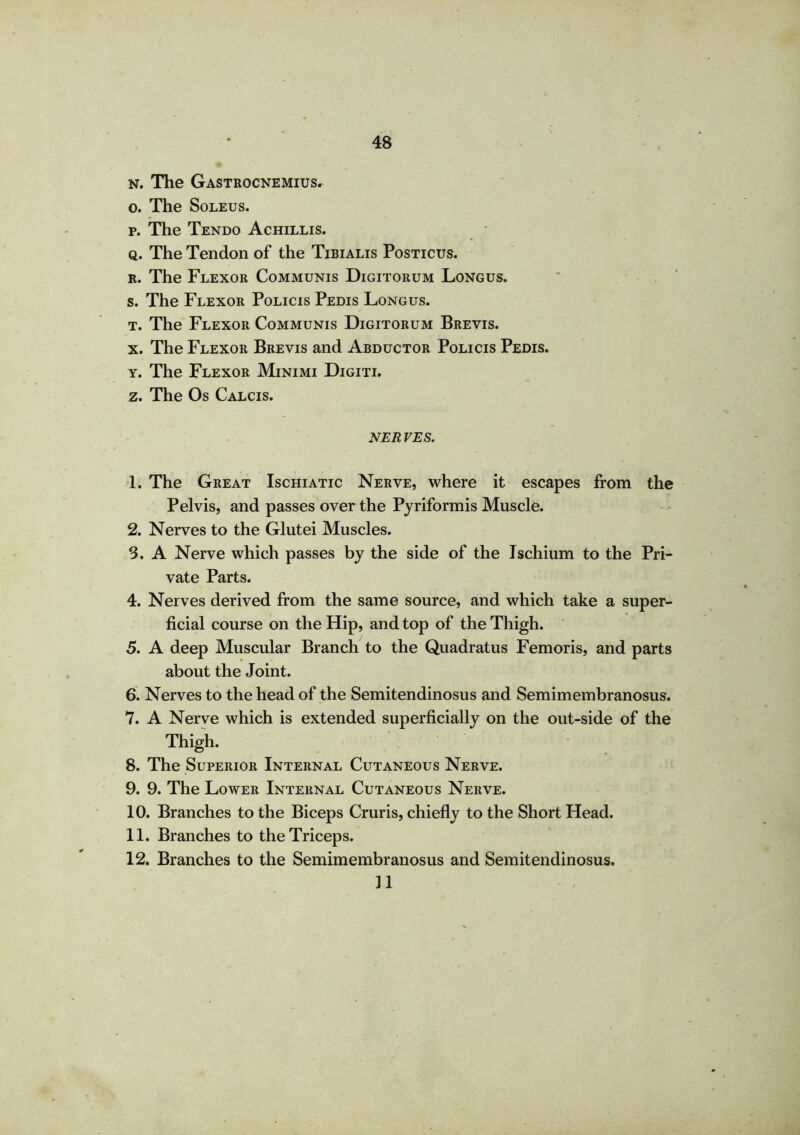 n. The Gastrocnemius. o. The Soleus. p. The Tendo Achillis. q. The Tendon of the Tibialis Posticus. r. The Flexor Communis Digitorum Longus. s. The Flexor Policis Pedis Longus. t. The Flexor Communis Digitorum Brevis. x. The Flexor Brevis and Abductor Policis Pedis. y. The Flexor Minimi Digiti. z. The Os Calcis. NER VES. 1. The Great Ischiatic Nerve, where it escapes from the Pelvis, and passes over the Pyriformis Muscle. 2. Nerves to the Glutei Muscles. 3. A Nerve which passes by the side of the Ischium to the Pri- vate Parts. 4. Nerves derived from the same source, and which take a super- ficial course on the Hip, and top of the Thigh. 5. A deep Muscular Branch to the Quadratus Femoris, and parts about the Joint. 6. Nerves to the head of the Semitendinosus and Semimembranosus. 7. A Nerve which is extended superficially on the out-side of the Thigh. 8. The Superior Internal Cutaneous Nerve. 9. 9. The Lower Internal Cutaneous Nerve. 10. Branches to the Biceps Cruris, chiefly to the Short Head. 11. Branches to the Triceps. 12. Branches to the Semimembranosus and Semitendinosus. 11