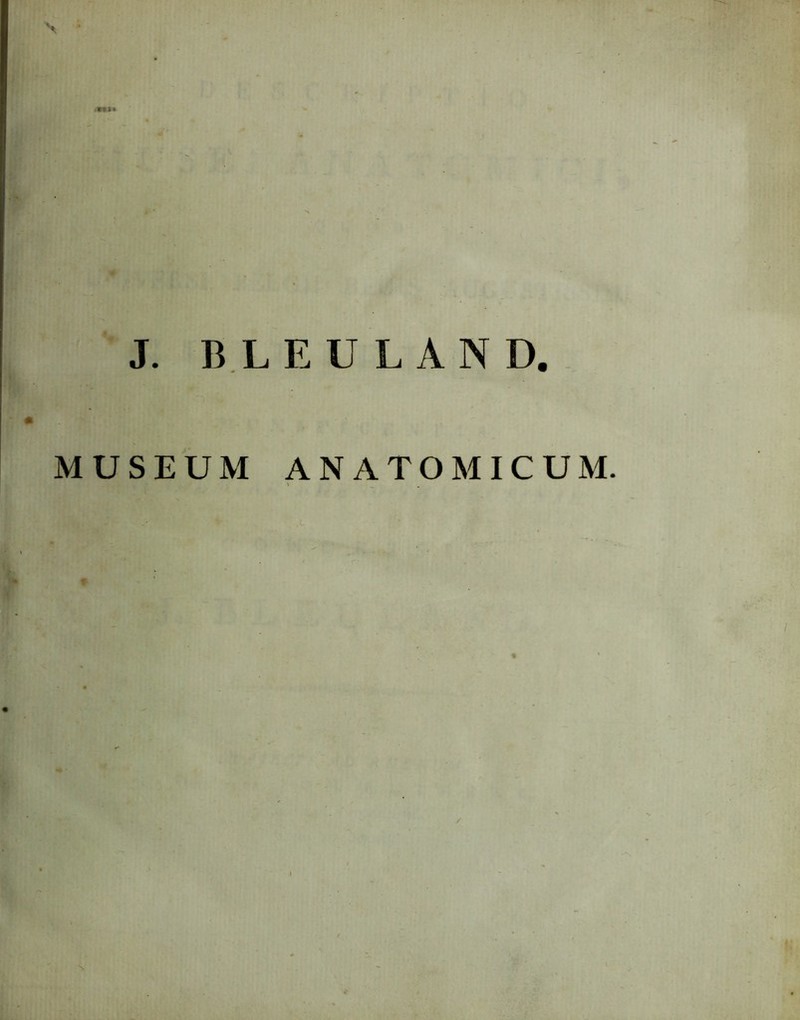 J. BLEULAND. MUSEUM ANATOMICUM. 1
