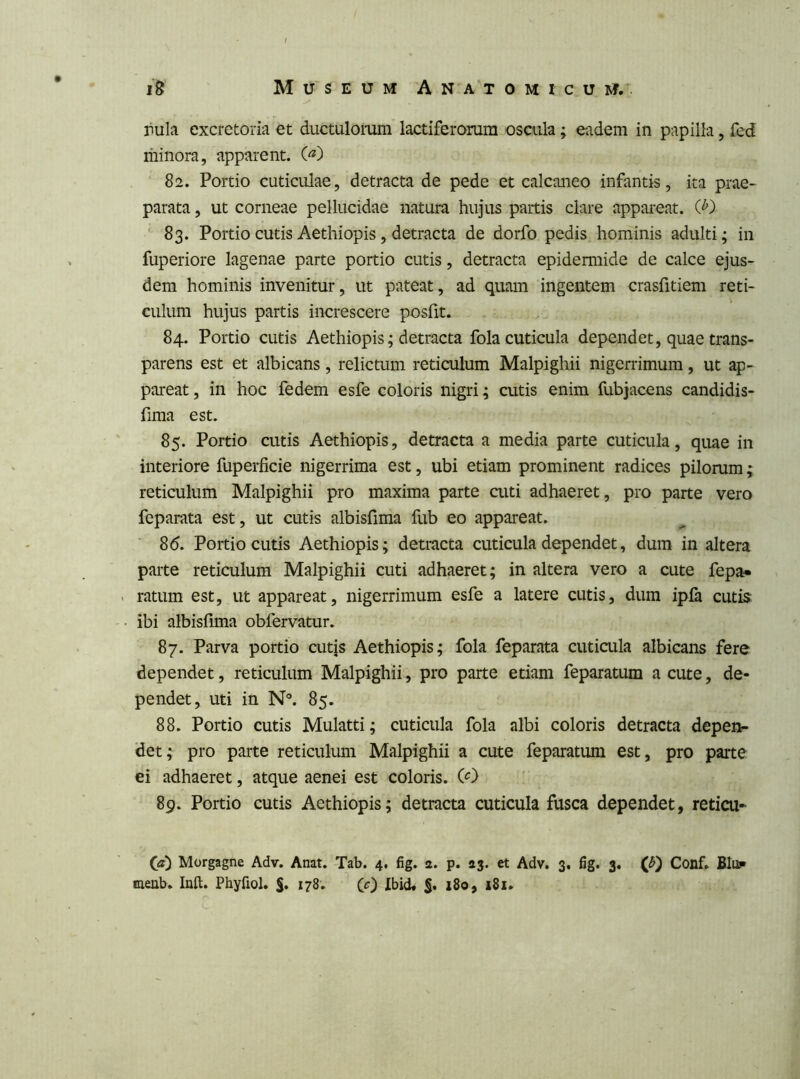 rula excretoria et ductulorum lactiferorum oscula; eadem in papilla, fed minora, apparent. 82. Portio cuticulae, detracta de pede et calcaneo infantis, ita prae- parata , ut corneae pellucidae natura hujus partis clare appareat. (P) ' 83. Portio cutis Aethiopis, detracta de dorfo pedis hominis adulti; in fuperiore lagenae parte portio cutis, detracta epidermide de calce ejus- dem hominis invenitur, ut pateat, ad quam ingentem crasfitiem reti- culum hujus partis increscere posfit. 84. Portio cutis Aethiopis; detracta fola cuticula dependet, quae trans- parens est et albicans, relictum reticulum Malpighii nigerrimum, ut ap- pareat , in hoc fedem esfe coloris nigri; cutis enim fubjacens candidis- fima est. 85. Portio cutis Aethiopis, detracta a media parte cuticula, quae in interiore fuperficie nigerrima est, ubi etiam prominent radices pilorum; reticulum Malpighii pro maxima parte aiti adhaeret, pro parte vero feparata est, ut cutis albisfima fub eo appareat. 8d. Portio cutis Aethiopis; detracta cuticula dependet, dum in altera parte reticulum Malpighii cuti adhaeret; in altera vero a cute fepa* ratum est, ut appareat, nigerrimum esfe a latere cutis, dum ipfa cutis ibi albisfima obfervatur. 87. Parva portio cutis Aethiopis; fola feparata cuticula albicans fere dependet, reticulum Malpighii, pro parte etiam feparatum a cute, de- pendet, uti in N°. 85. 88. Portio cutis Mulatti; cuticula fola albi coloris detracta depen- det; pro parte reticulum Malpighii a cute feparatum est, pro parte ei adhaeret, atque aenei est coloris, ip') 89. Portio cutis Aethiopis; detracta cuticula fusca dependet, reticu- Or) Morgagne Adv. Anat. -Tab. 4, fig. a. p. aj. et Adv. 3, fig. 3. Conf. BIiu» menb. Inft. Phyfiol. 178. CO 180, 181.