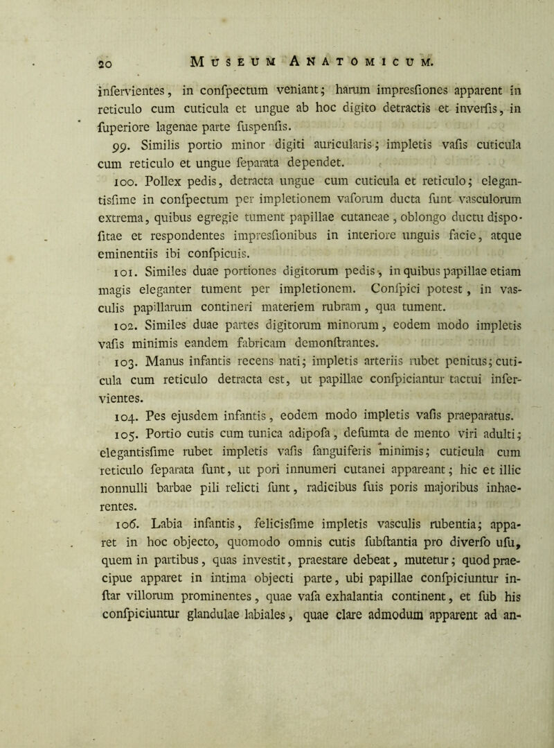 infervientes, in confpectum veniant; hamm impresfiones apparent in reticulo cum cuticula et ungue ab hoc digito detractis et inveifis, in fuperiore lagenae parte fuspenfis. 99. Similis portio minor digiti auricularis ; impletis vafis cuticula cum reticulo et ungue feparata dependet. 100. Pollex pedis, detracta ungue cum cuticula et reticulo; elegan- tisfime in confpectum per impletionem vaforum ducta funt vasculorum extrema, quibus egregie tument papillae cutaneae , oblongo ductu dispo- fitae et respondentes impresfionibus in interiore unguis facie, atque eminentiis ibi confpicuis. 101. Similes duae portiones digitorum pedis-, in quibus papillae etiam magis eleganter tument per impletionem. Confpici potest, in vas- culis papillarum contineri materiem rubram, qua tument. 102. Similes duae partes digitoaim minorum, eodem modo impletis vafis minimis eandem fabricam demonftrantes. 103. Manus infantis recens nati; impletis arteriis rubet penitus; cuti- cula cum reticulo detracta est, ut papillae confpiciantur tactui infer^ vientes. 104. Pes ejusdem infantis, eodem modo impletis vafis praeparatus. 105. Portio cutis cum tunica adipofa, deflimta de mento viri adulti; A elegantisfime rubet impletis vafis fanguiferis minimis; cuticula cum reticulo feparata funt, ut pori innumeri cutanei appareant; hic et illic nonnulli bai-bae pili relicti funt, radicibus fuis poris majoribus inhae- rentes. 106. Labia infantis, felicisfime impletis vasculis rubentia; appa- ret in hoc objecto, quomodo omnis cutis fubftantia pro diverfo ufu, quem in partibus, quas investit, praestare debeat, mutetur; quod prae- cipue apparet in intima objecti parte, ubi papillae confpiciuntur in- ftar villorum prominentes, quae vafa exhalantia continent, et fub his confpiciuntur glandulae labiales, quae clare admodum apparent ad an-