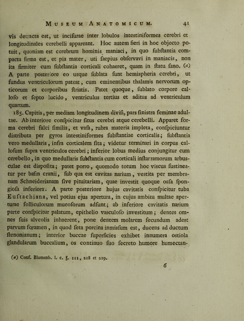 4 vis detracta est, ut incifurae inter lobulos intestiniformes cerebri et longitudinales cerebelli appareant. Hoc autem fieri in hoc objecto po- tuit, quoniam est cerebrum hominis maniaci, in quo fubftantia com- pacta firma est, et pia mater, uti faepius obfervavi in maniacis, non ita firmiter cum fubftantia corticali cohaeret, quam in flatu fano. () A parte posteriore eo usque fublata funt hemispheria cerebri, ut fundus ventriculorum pateat, cum eminentibus thalamis nervorum op- ticorum et corporibus flriatis. Patet quoque, fublato corpore cal- lofo et fepto lucido, ventriculus tertius et aditus ad ventriculum quartum. 185. Capitis, per mediam longitudinem divifi, pars finistra feminae adul- tae. Ab interiore confpicitur fitus cerebri atque cerebelli. Apparet for- ma cerebri falci fimilis, et vafa, rubra materia impleta, confpiciuntur distributa per gyros intestiniformes fubflantiae corticalis; fubftantia vero medullaris, infra corticalem fita; videtur terminari in corpus cal- ^ lofum fupra ventriculos cerebri; inferior lobus medius conjungitur cum cerebello, in quo medullaris fubftantia cum corticali inftarramorum arbus- culae est dispofita; patet porro, quomodo totum hoc viscus fustinea- tur per bafin cranii, fub qua est cavitas narium, vestita per membra- nam Schneiderianam five pituitariam, quae investit quoque osfa fpon- giofa inferiora. A parte posteriore hujus cavitatis confpicitur tuba Euftachiana, vel potius ejus apertura, in cujus ambitu multae aper- turae folliculorum mucoforum adfunt; ab inferiore cavitatis narium parte confpicitur palatum, epithelio vasculofo investitum; dentes om- nes fuis alveolis inhaerent, pone dentem molarem fecundum adest parvum foramen , in quod feta porcina inmisfum est, ducens ad ductum ftenonianum; interior buccae fuperficies exhibet innumera ostiola glandularum buccalium, os continuo fuo fecreto humore humectan- («) Conf. Blumenb, 1. c. §. 111, ai8 et 219. 6