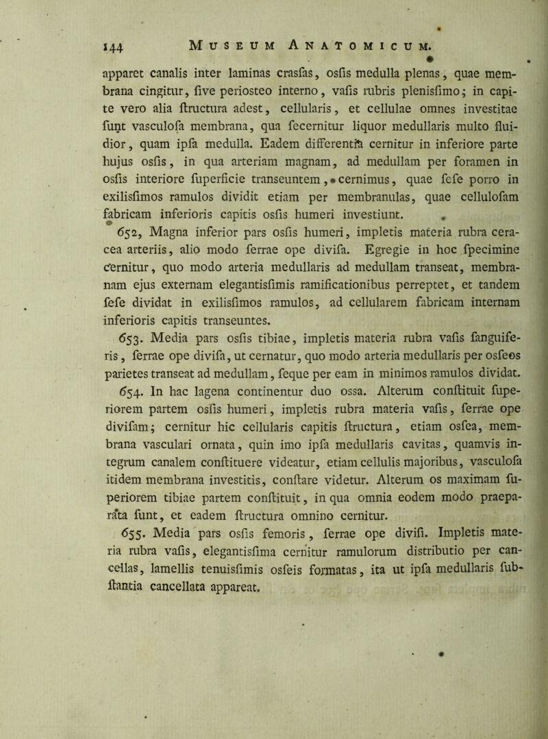 • apparet canalis inter laminas crasfas, osfis medulla plenas, quae mem- brana cingitur, five periosteo interno, vafis rubris plenisfimo; in capi- te vero alia ftractura adest, cellularis, et cellulae omnes investitae funt vasculofa membrana, qua fecernitur liquor medullaris multo flui- dior , quam ipla medulla. Eadem differentia cernitur in inferiore parte hujus osfis, in qua arteriam magnam, ad medullam per foramen in osfis interiore fuperficie transeuntem , • cernimus, quae fefe porro in exilisfimos ramulos dividit etiam per membranulas, quae cellulofam fabricam inferioris capitis osfis humeri investiunt. , 652, Magna inferior pars osfis humeri, impletis materia rubra cera- cea arteriis, alio modo ferrae ope divifa. Egregie in hoc fpecimine c'ernitur, quo modo arteria medullaris ad medullam transeat, membra- nam ejus externam elegantisfimis ramificationibus perreptet, et tandem fefe dividat in exilisfimos ramulos, ad cellularem fabricam internam inferioris capitis transeuntes, 653. Media pars osfis tibiae, impletis materia rubra vafis fanguife- ris, ferrae ope divifa, ut cernatur, quo modo arteria medullaris per osfeos parietes transeat ad medullam, feque per eam in minimos ramulos dividat. (554. In hac lagena continentur duo ossa. Alterum conflituit fupe- riorem partem osfis humeri, impletis rubra materia vafis, ferrae ope divifam; cernitur hic cellularis capitis ftructura, etiam osfea, mem- brana vasculari ornata, quin imo ipfa medullaris cavitas, quamvis in- tegrum canalem conftituere videatur, etiam cellulis majoribus, vasculofa itidem membrana investitis, conflare videtur. Alterum os maximam fu- periorem tibiae partem conflituit, in qua omnia eodem modo praepa- rata funt, et eadem ftructura omnino cernitur. 655. Media pars osfis femoris , ferrae ope divifi. Impletis mate- ria rubra vafis, elegantisfima cernitur ramulorum distributio per can- cellas, lamellis tenuisfimis osfeis formatas, ita ut ipfa medullaris fub- flantia cancellata appareat.