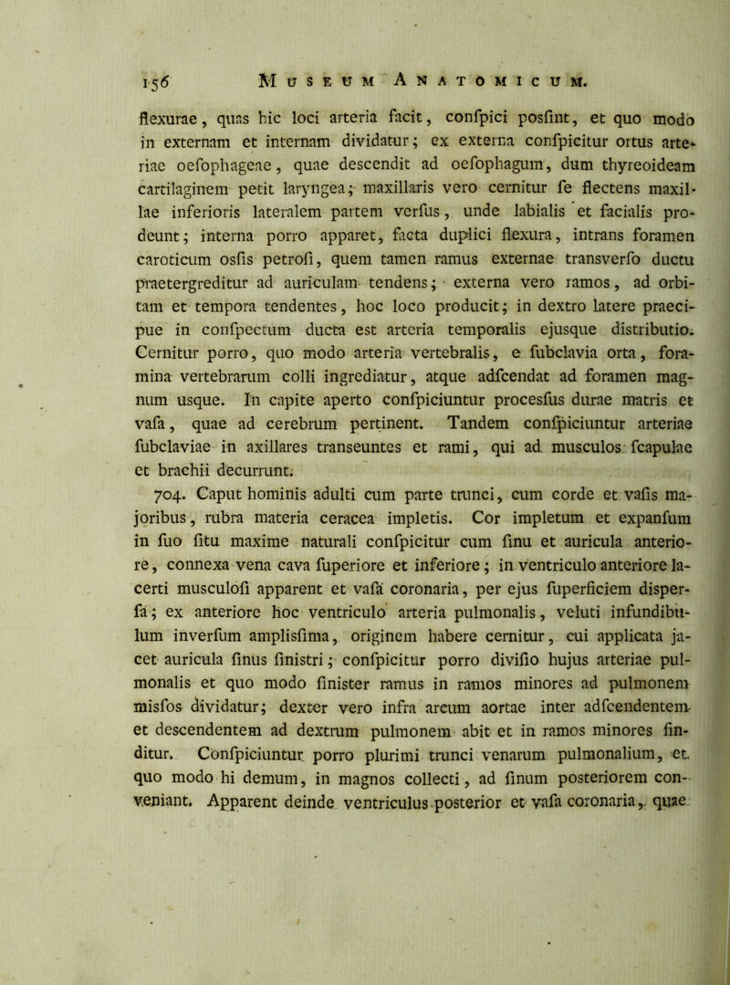 flexurae, quas hic loci arteria facit, confpici posfmt, et quo modo in externam et internam dividatur; ex externa confpieitur ortus arte* riae oefophageae, quae descendit ad oefophagum , dum thyreoideam cartilaginem petit laryngea; maxillaris vero cernitur fe flectens maxil- lae inferioris lateralem partem verfus, unde labialis et facialis pro* deunt; interna porro apparet, facta duplici flexura, intrans foramen caroticum osfis petrofi, quem tamen ramus externae transverfo ductu praetergreditur ad auriculam tendens; ■ externa vero ramos, ad orbi- tam et tempora tendentes, hoc loco producit; in dextro latere praeci- pue in confpectum ducta est arteria temporalis ejusque distributio. Gemitur porro, quo modo arteria vertebralis, e fubclavia orta, fora- mina vertebrarum colli ingrediatur, atque adfcendat ad foramen mag- num usque. In capite aperto confpiciuntur procesfus durae matris et vafa, quae ad cerebrum pertinent. Tandem confpiciuntur arteriae fubclaviae in axillares transeuntes et rami, qui ad musculos fcapulae et brachii decurrunt; 704. Caput hominis adulti cum parte trunci, cum corde et vafis ma- joribus , mbra materia ceracea impletis. Cor impletum et expanfum in fuo fitu maxime naturali confpieitur cum finu et auricula anterio- re, connexa vena cava fup eri ore et inferiore; in ventriculo anteriore la- certi musculofl apparent et vafa coronaria, per ejus fuperficiem disper- fa ; ex anteriore hoc ventriculo arteria pulmonalis, veluti infundibu- lum inverfum amplisfima, originem habere cernitur, cui applicata ja- cet auricula finus finistri; confpieitur porro divifio hujus arteriae pul- monalis et quo modo flnister ramus in ramos minores ad pulmonem misfos dividatur; dexter vero infra arcum aortae inter adfcendentem- et descendentem ad dextrum pulmonem abit et in ramos minores fin- ditur. Confpiciuntur porro plurimi trunci venarum pulmonalium, et. quo modo hi demum, in magnos collecti, ad finum posteriorem con- veniant, Apparent deinde ventriculus-posterior et vafa coronaria,- quae.